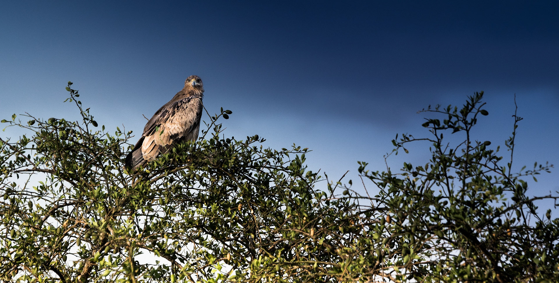 Photo by: Omer Salom http://osalom.smugmug.com