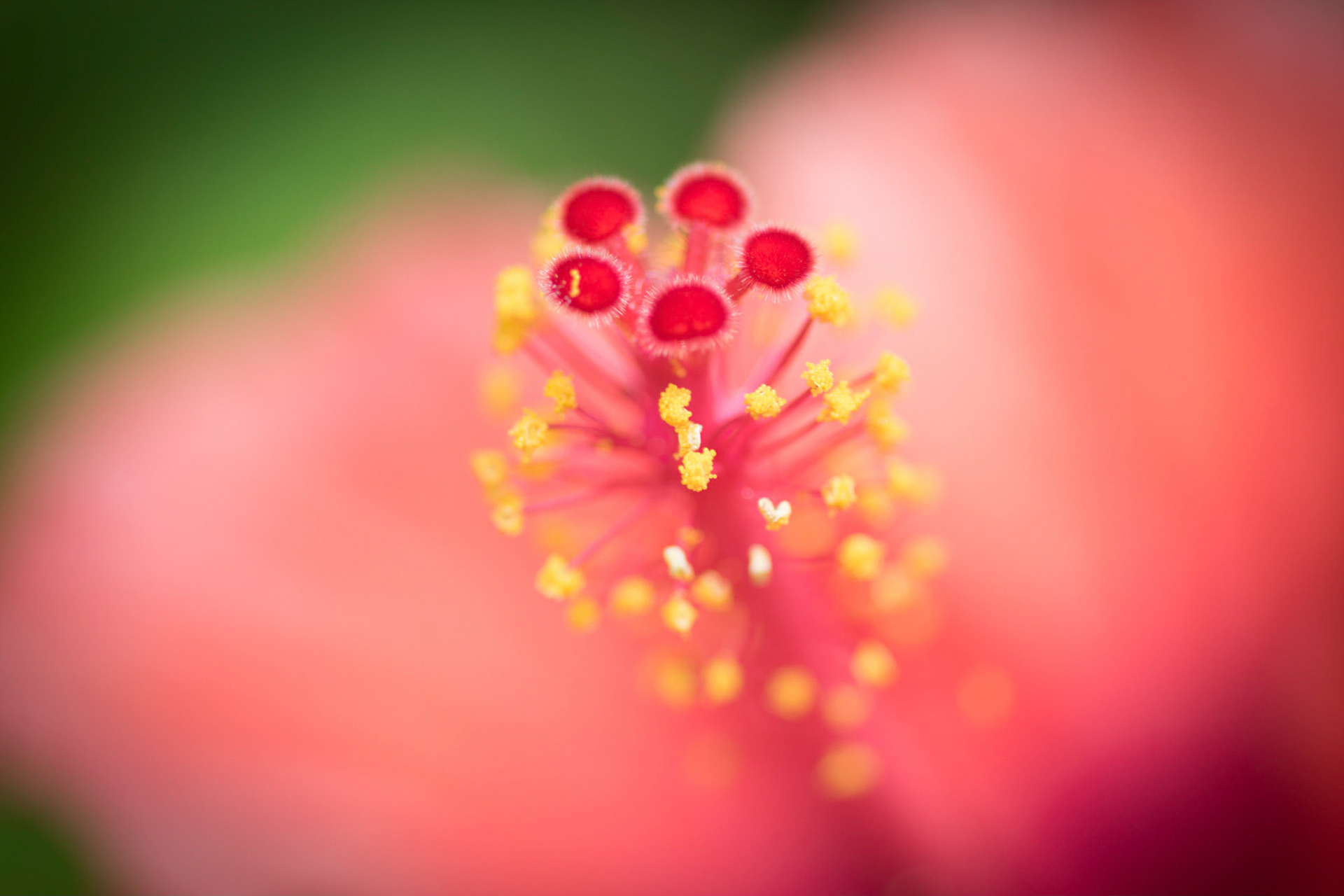Photo by: Omer Salom http://osalom.smugmug.com