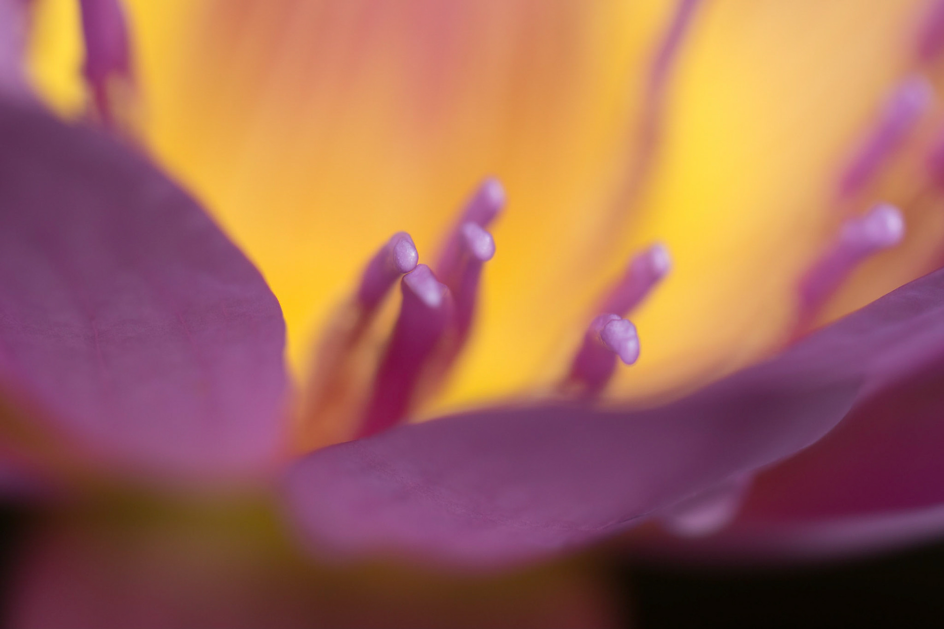 Photo by: Omer Salom http://osalom.smugmug.com