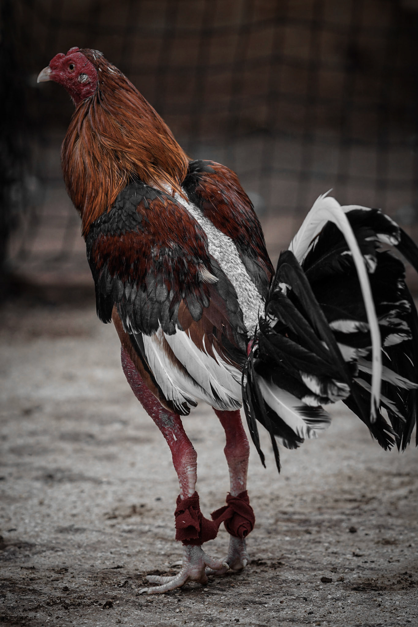 Photo by: Omer Salom http://osalom.smugmug.com