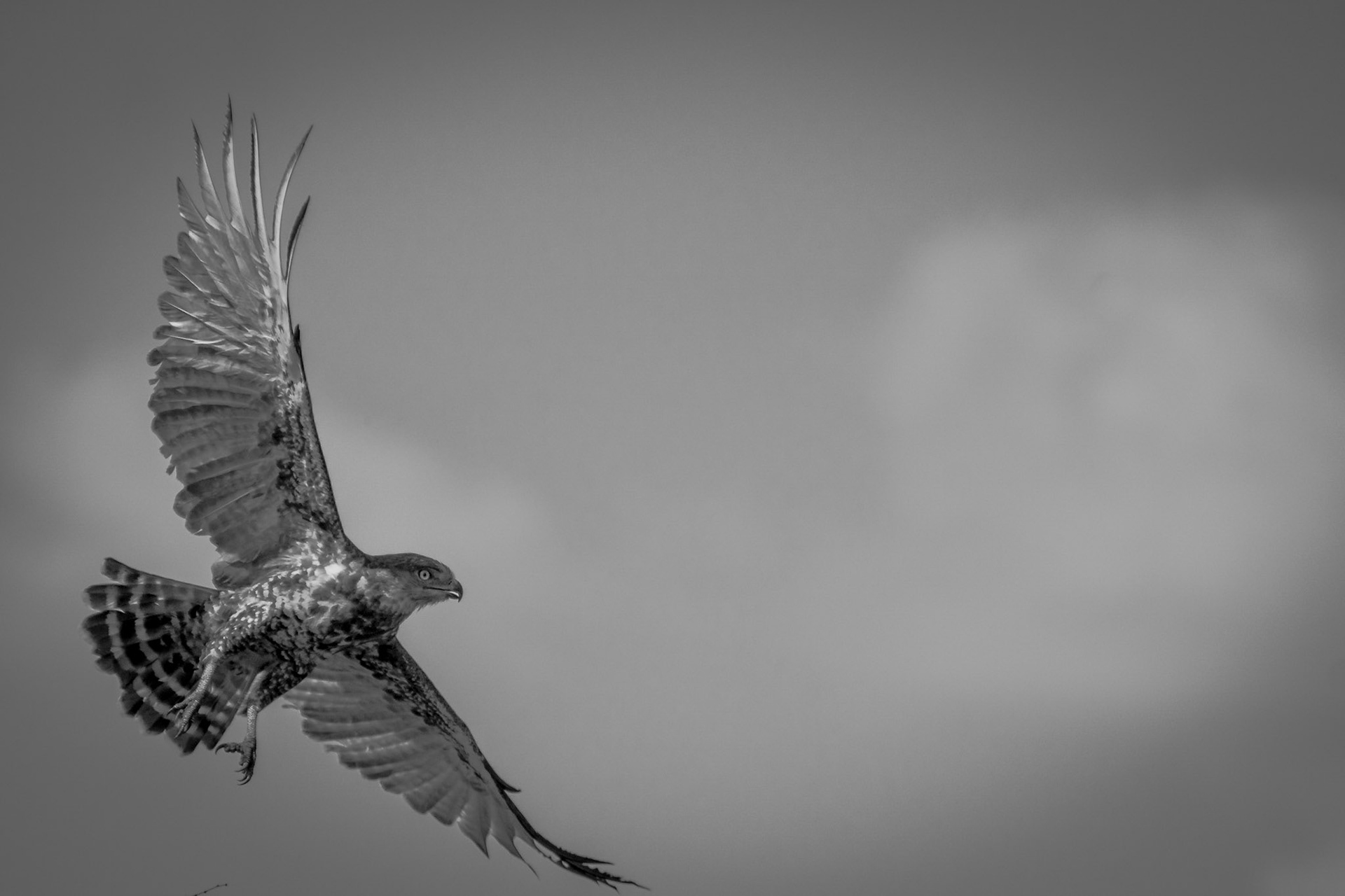 Photo by: Omer Salom http://osalom.smugmug.com