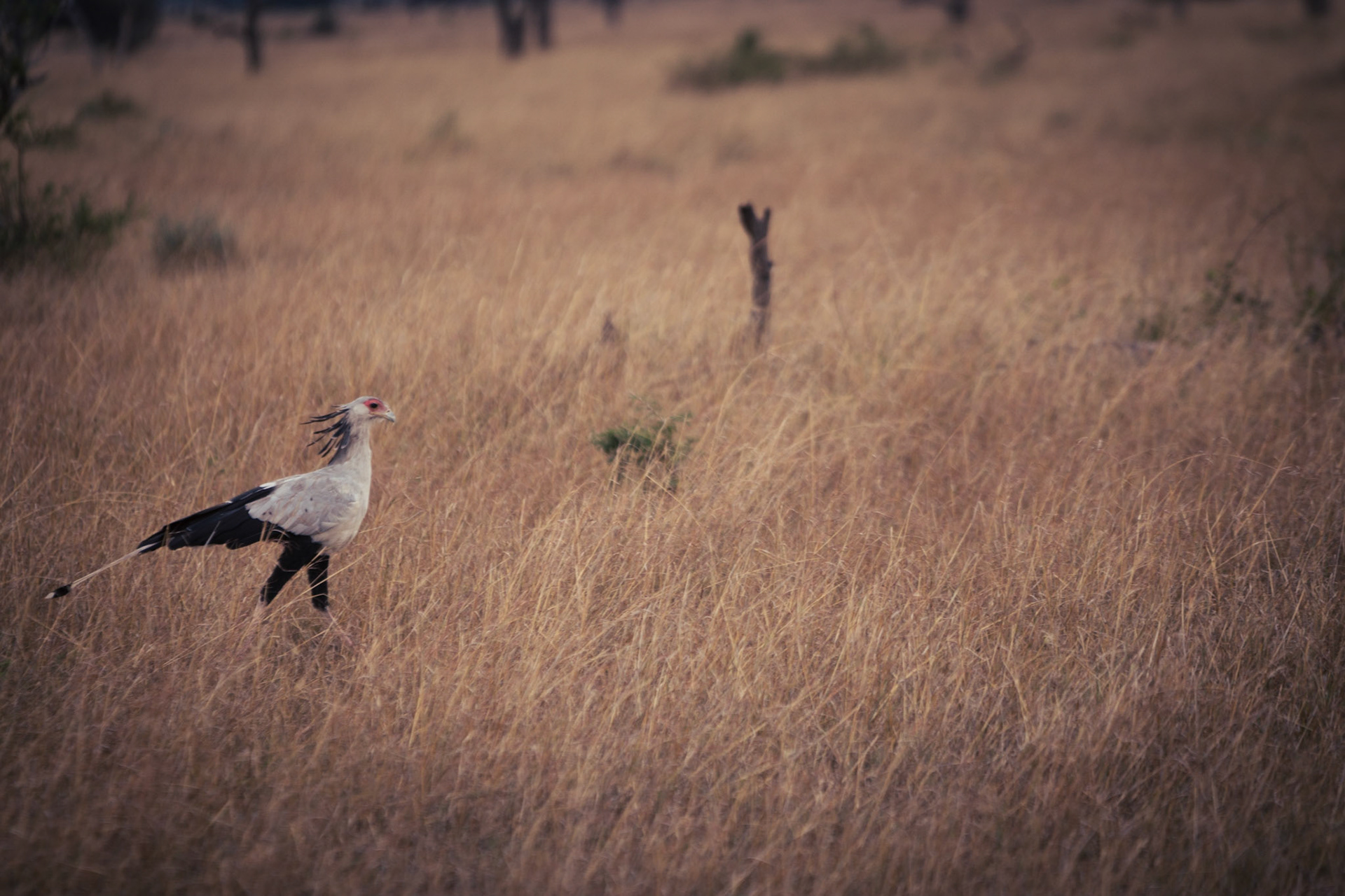 Photo by: Omer Salom http://osalom.smugmug.com