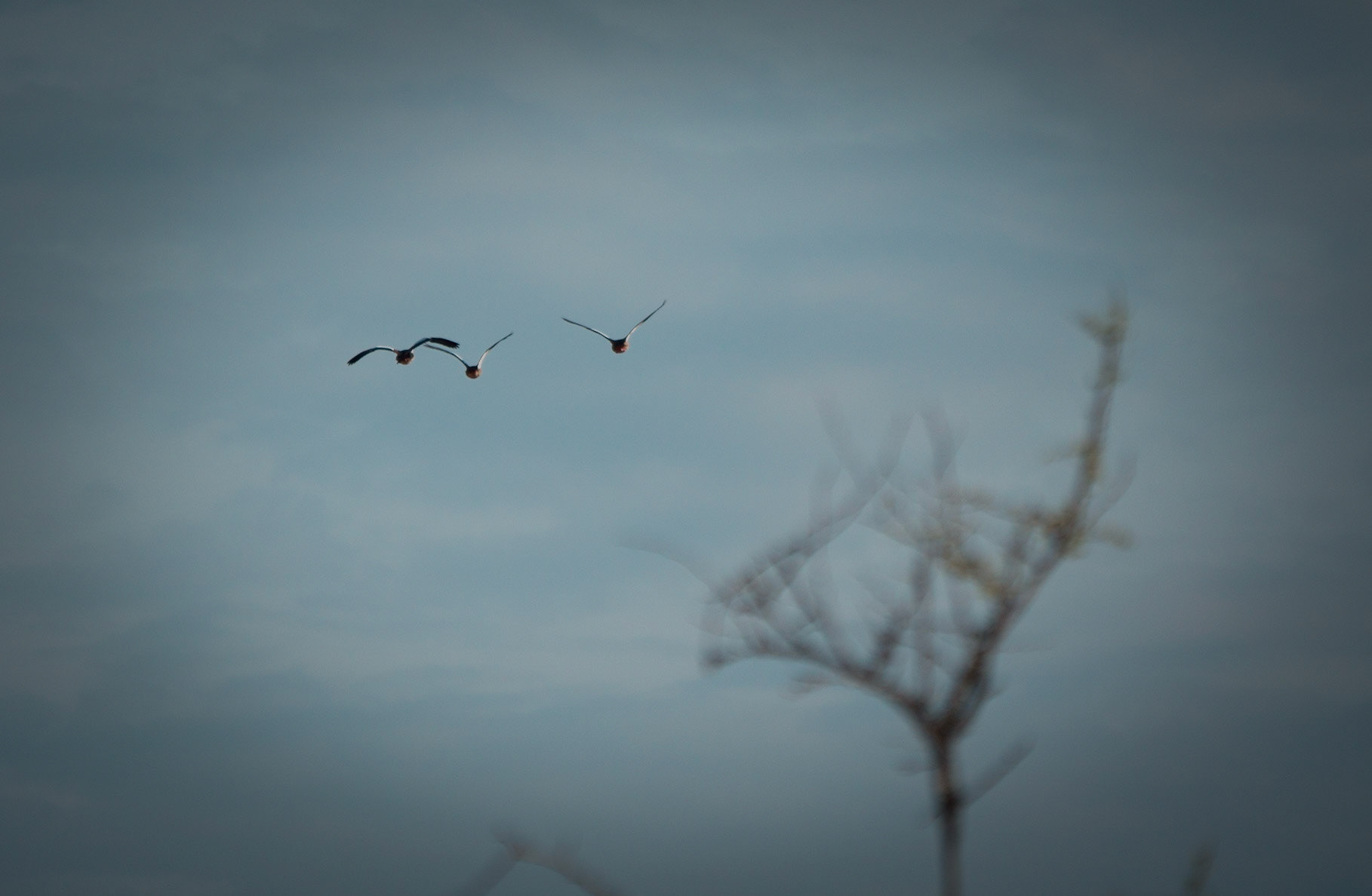 Photo by: Omer Salom http://osalom.smugmug.com