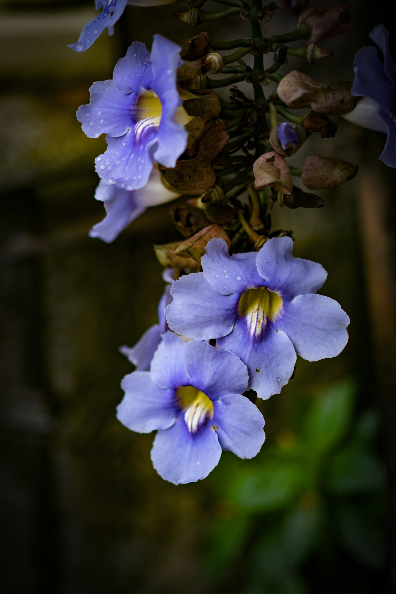 Photo by: Omer Salom http://osalom.smugmug.com