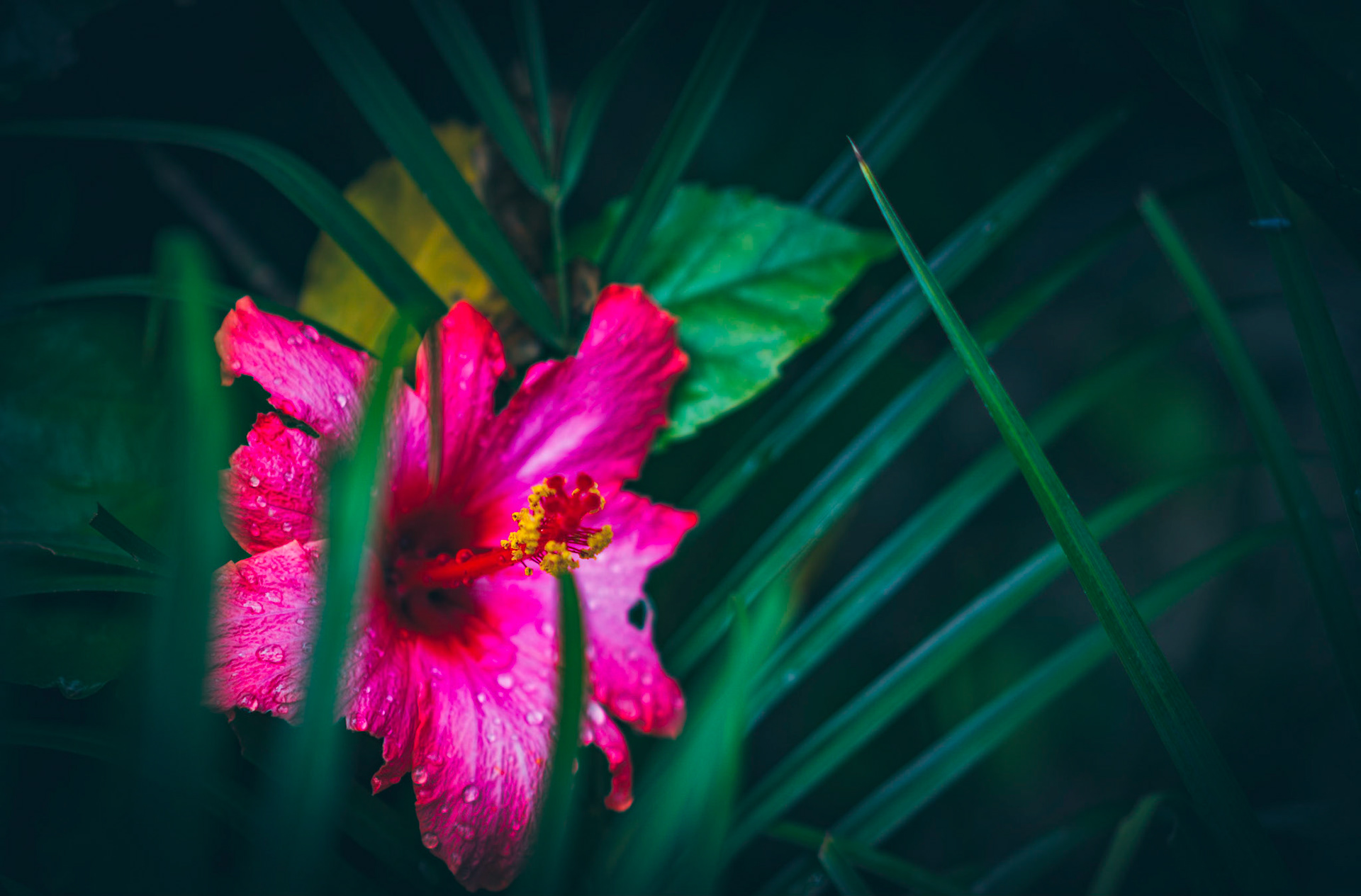 Photo by: Omer Salom http://osalom.smugmug.com