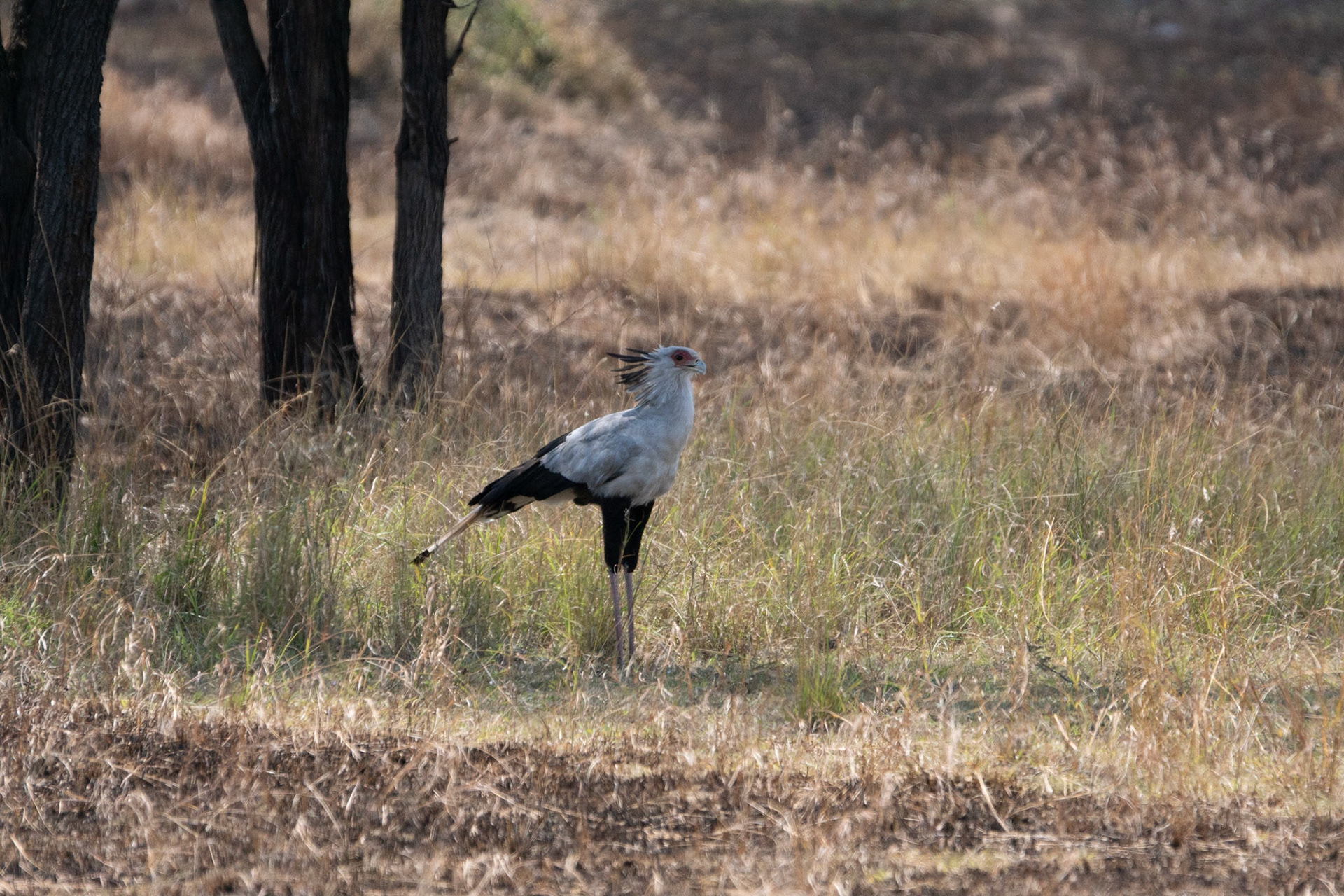 Photo by: Omer Salom http://osalom.smugmug.com