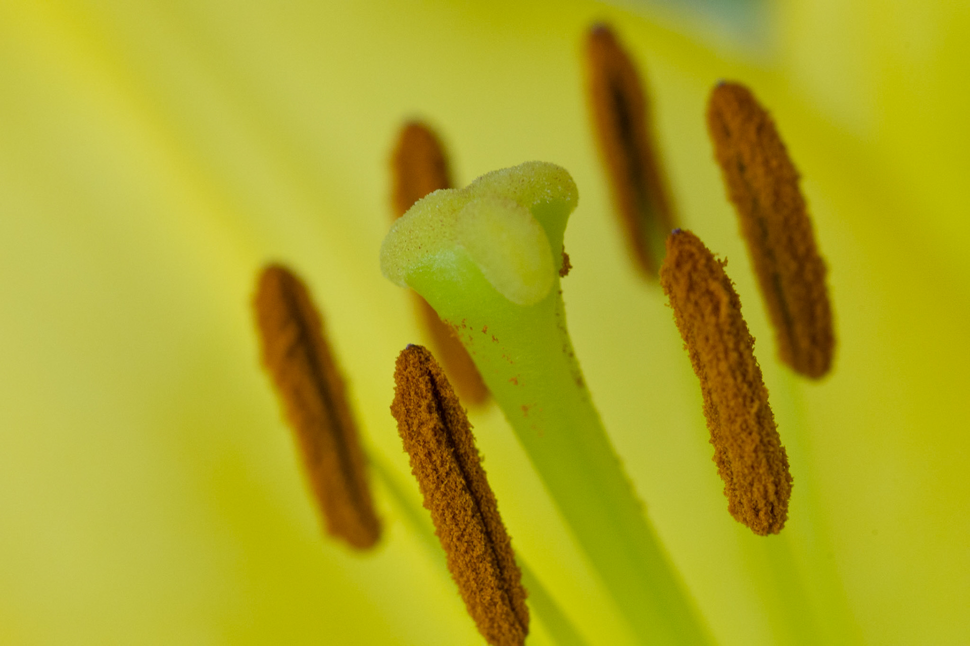 Photo by: Omer Salom http://osalom.smugmug.com