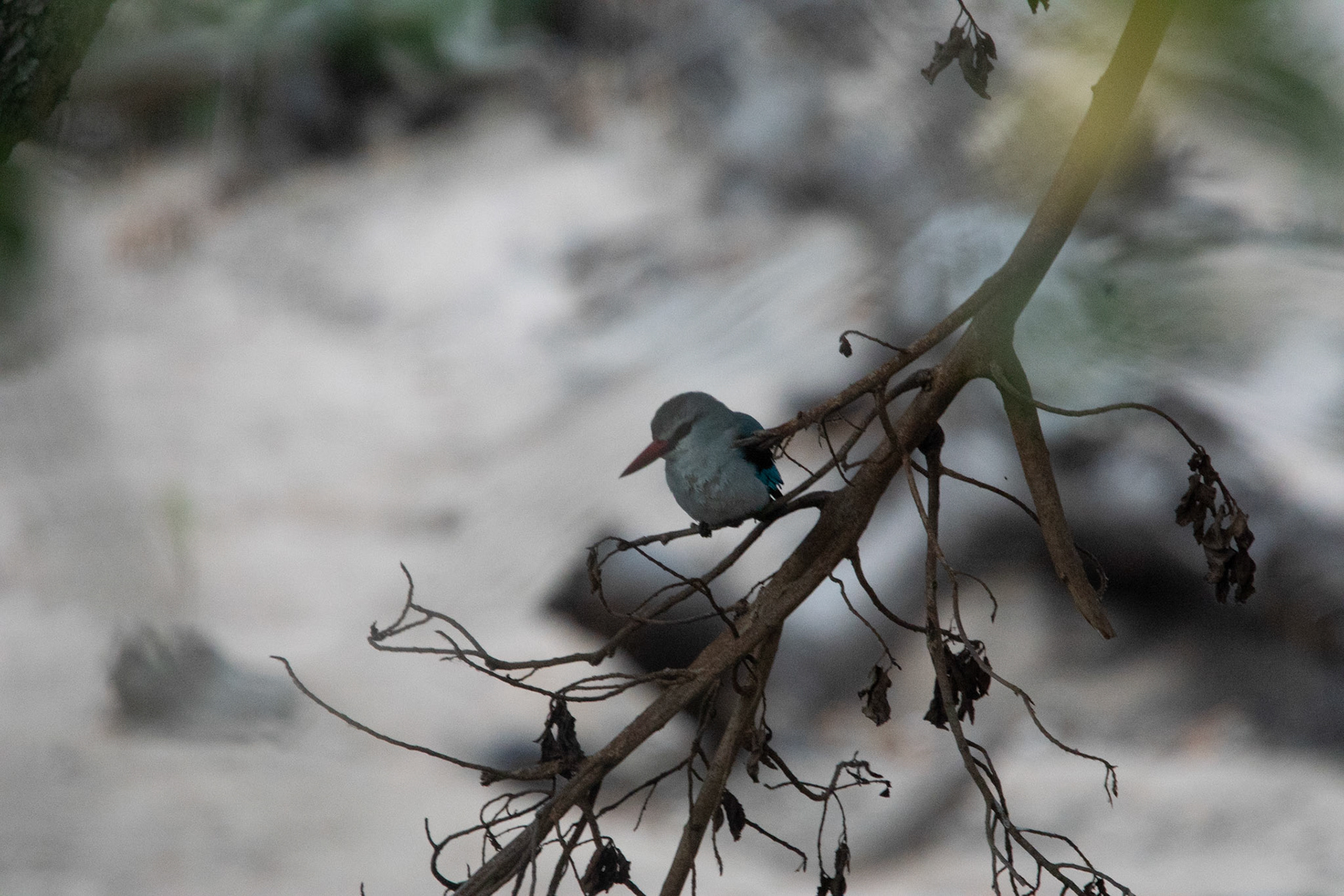 Photo by: Omer Salom http://osalom.smugmug.com