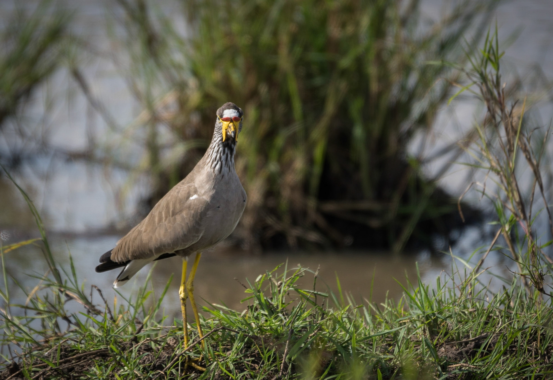 Photo by: Omer Salom http://osalom.smugmug.com