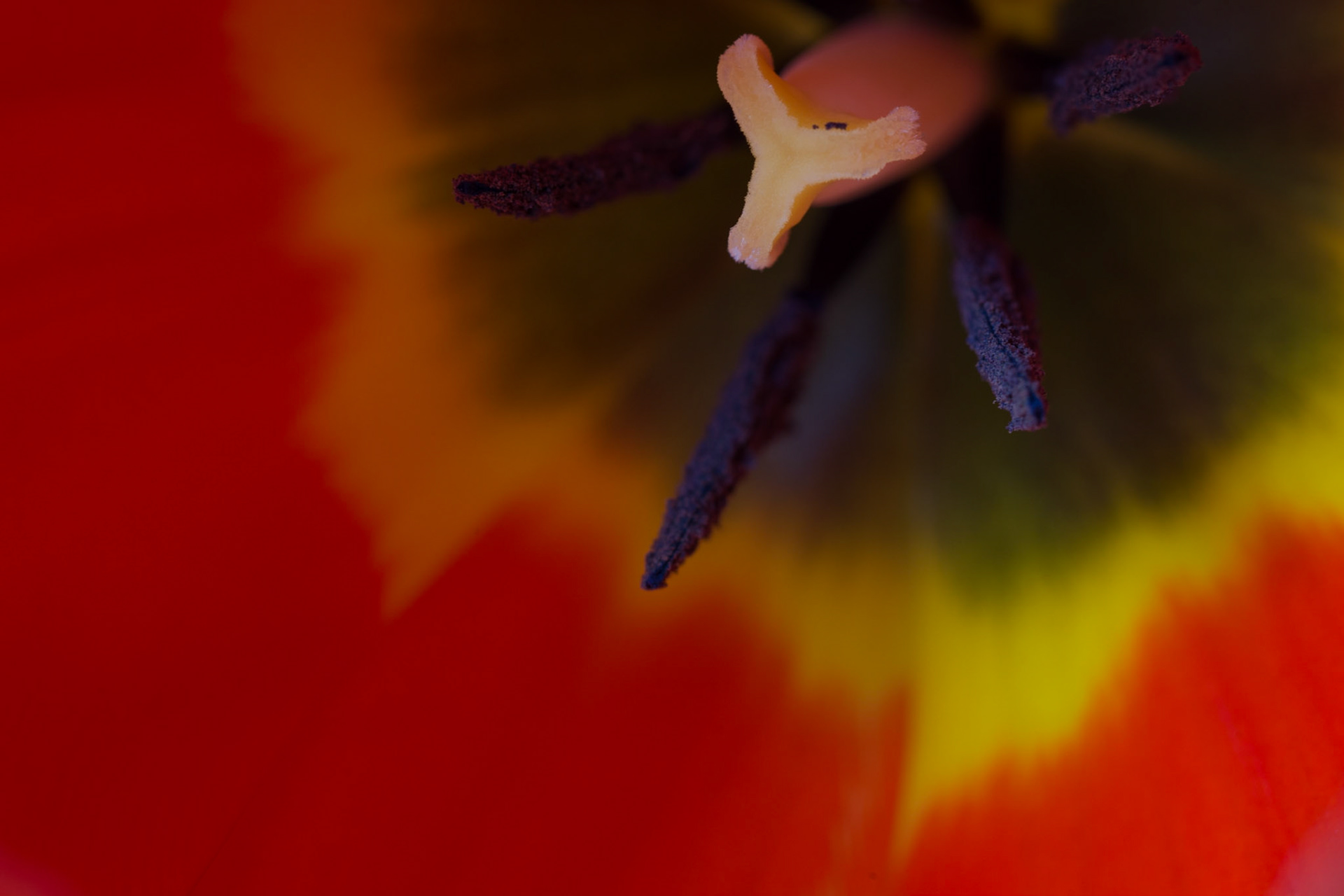 Photo by: Omer Salom http://osalom.smugmug.com