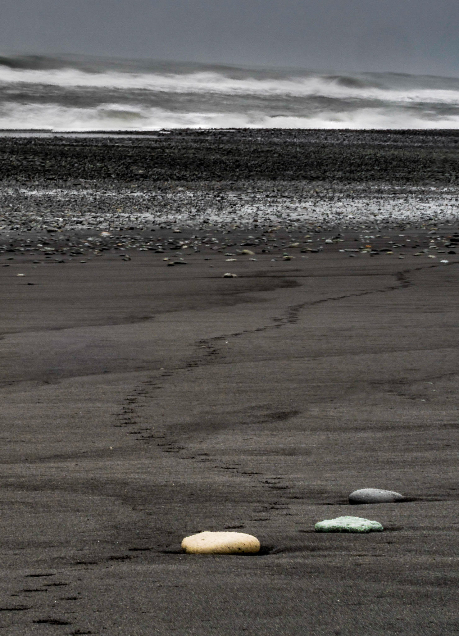 Photo by: Omer Salom http://osalom.smugmug.com