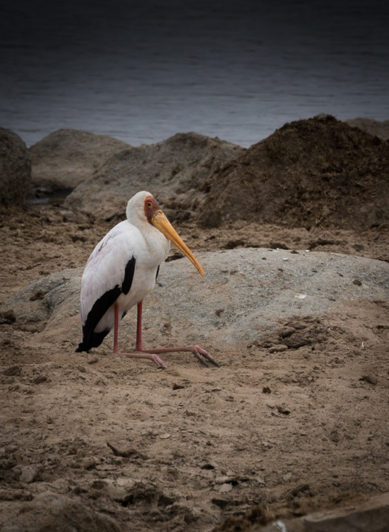 Photo by: Omer Salom http://osalom.smugmug.com