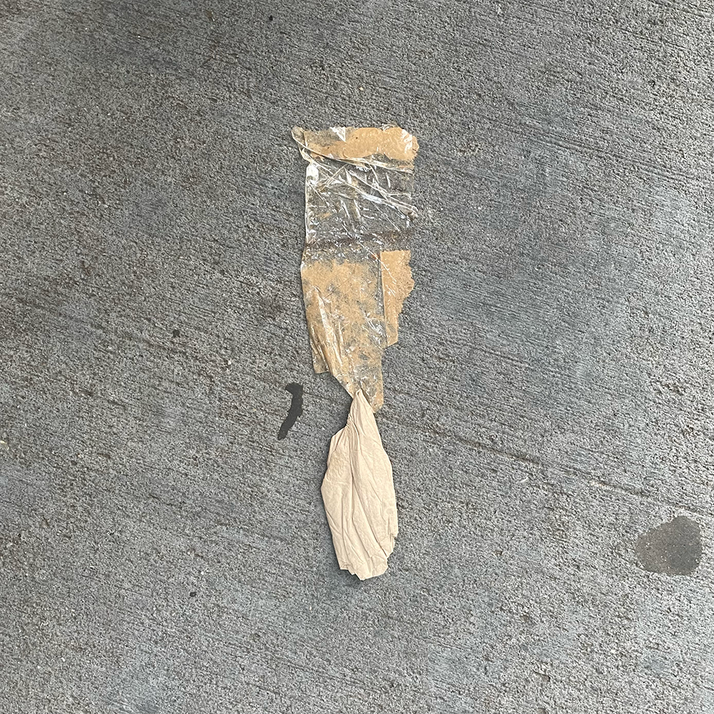 A photo of lost or discarded material found on a city street—with a form interpreted as resembling a paintbrush.