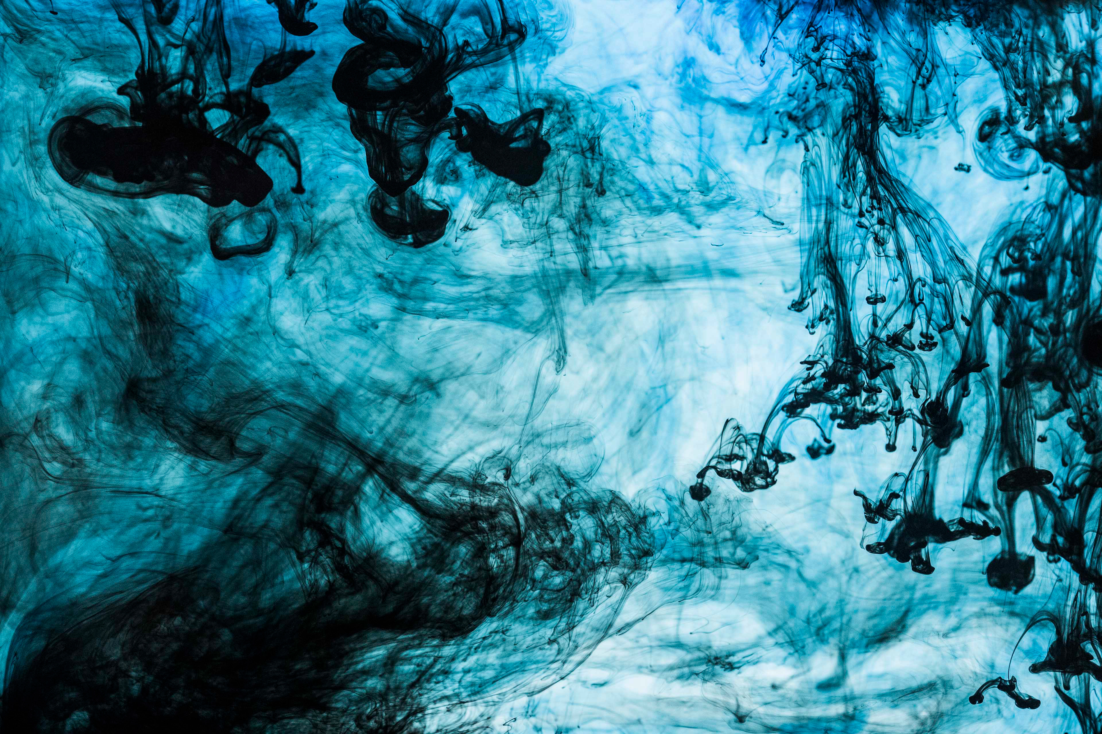 Le vin Herbé, Edvard Grieg Kor, 2014