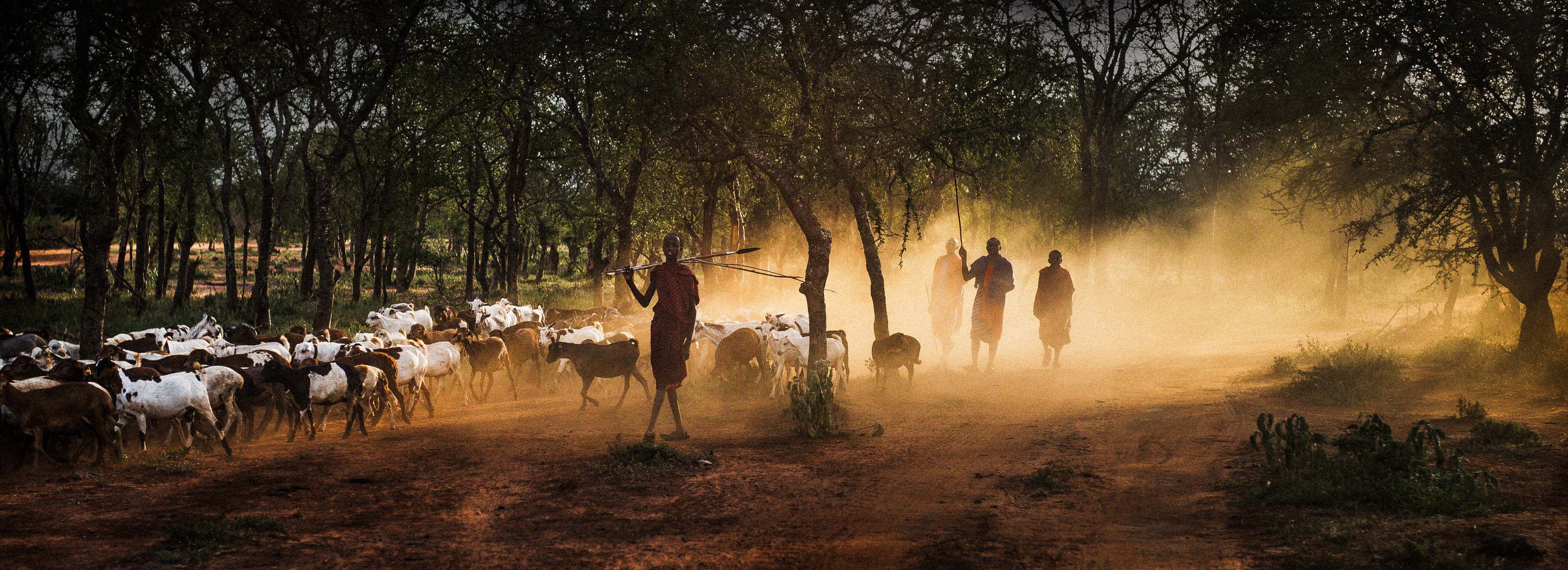 Tanzania 2015