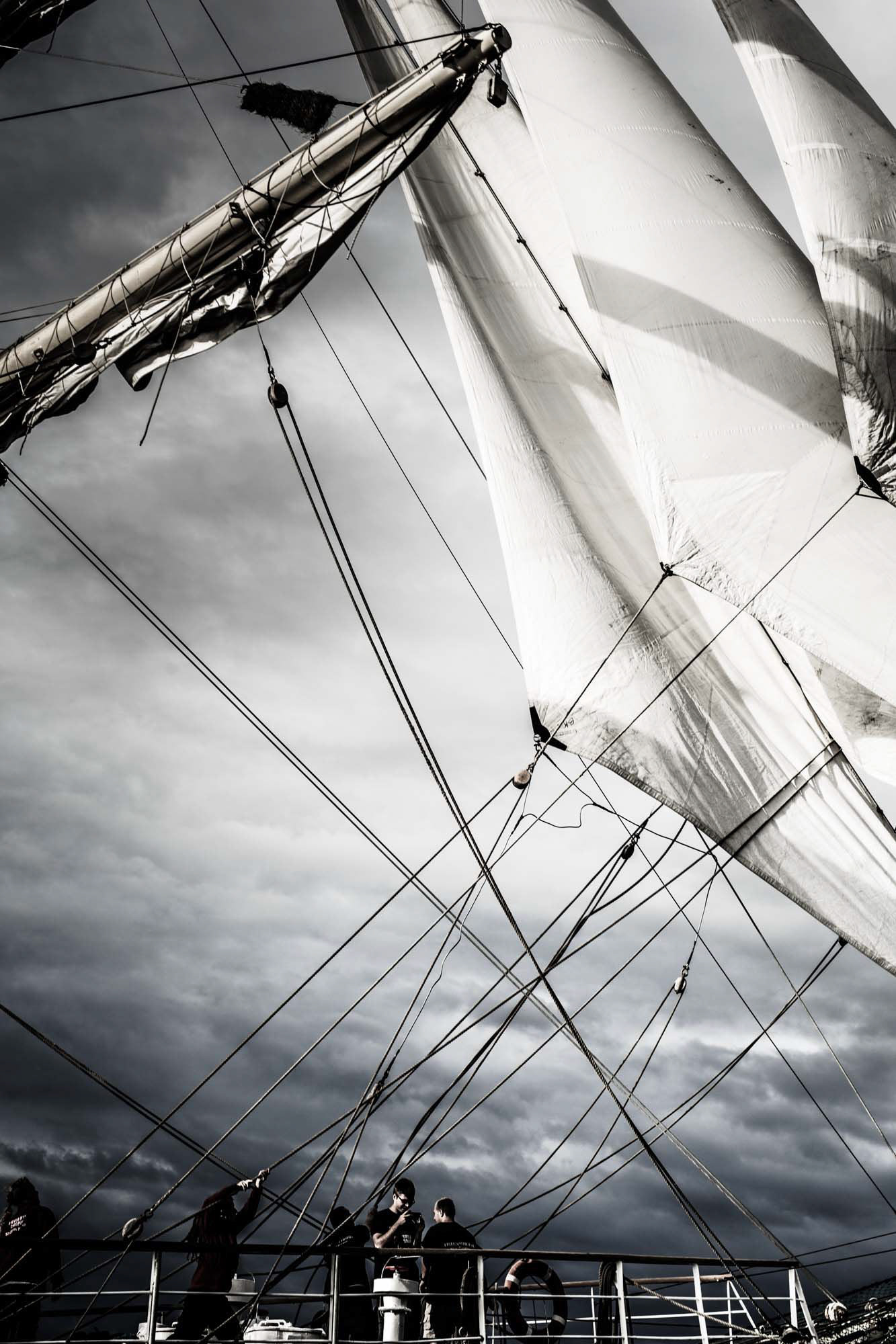 Bergen - Tall Ships Races 2014