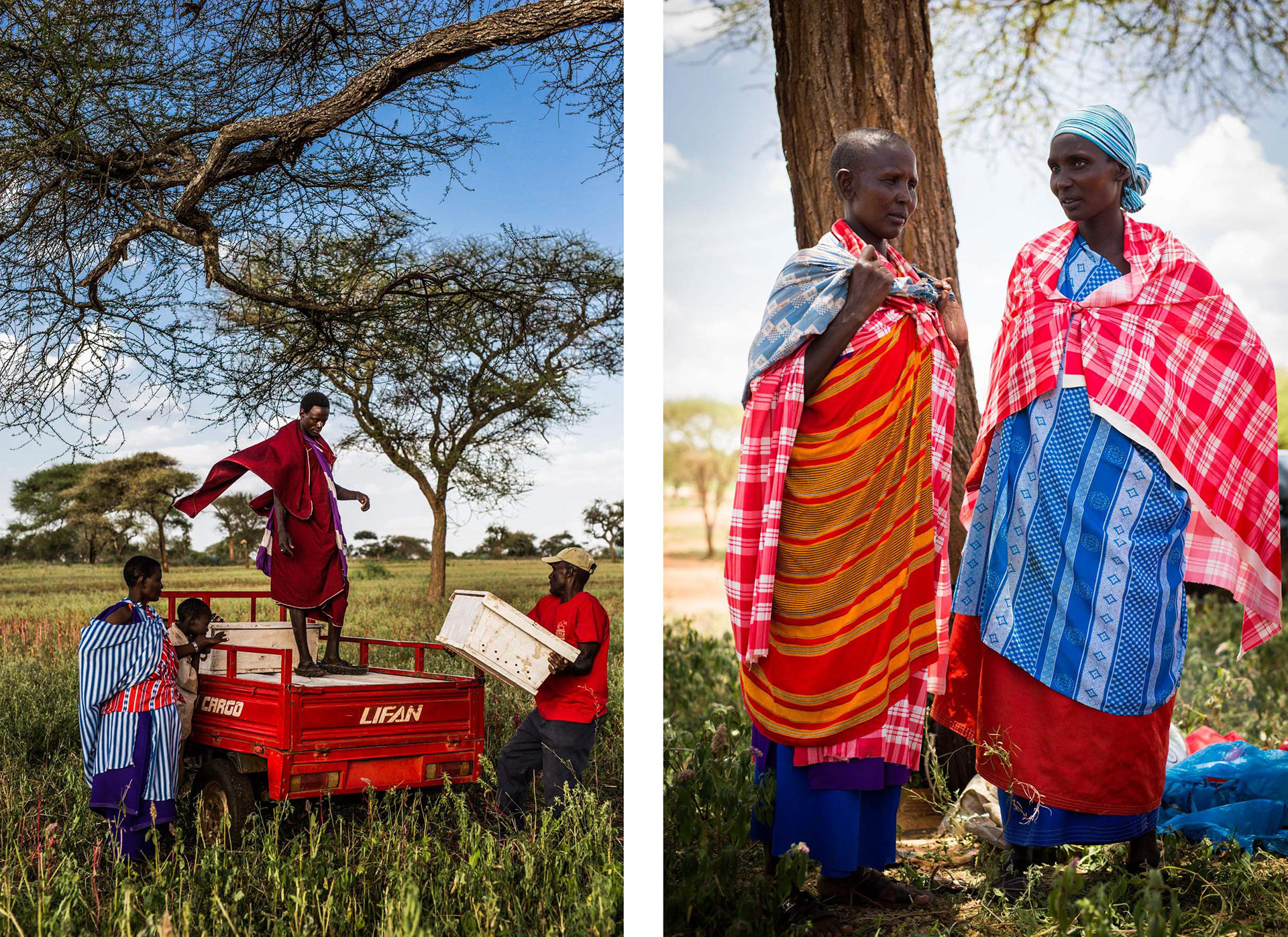 Tanzania 2015
