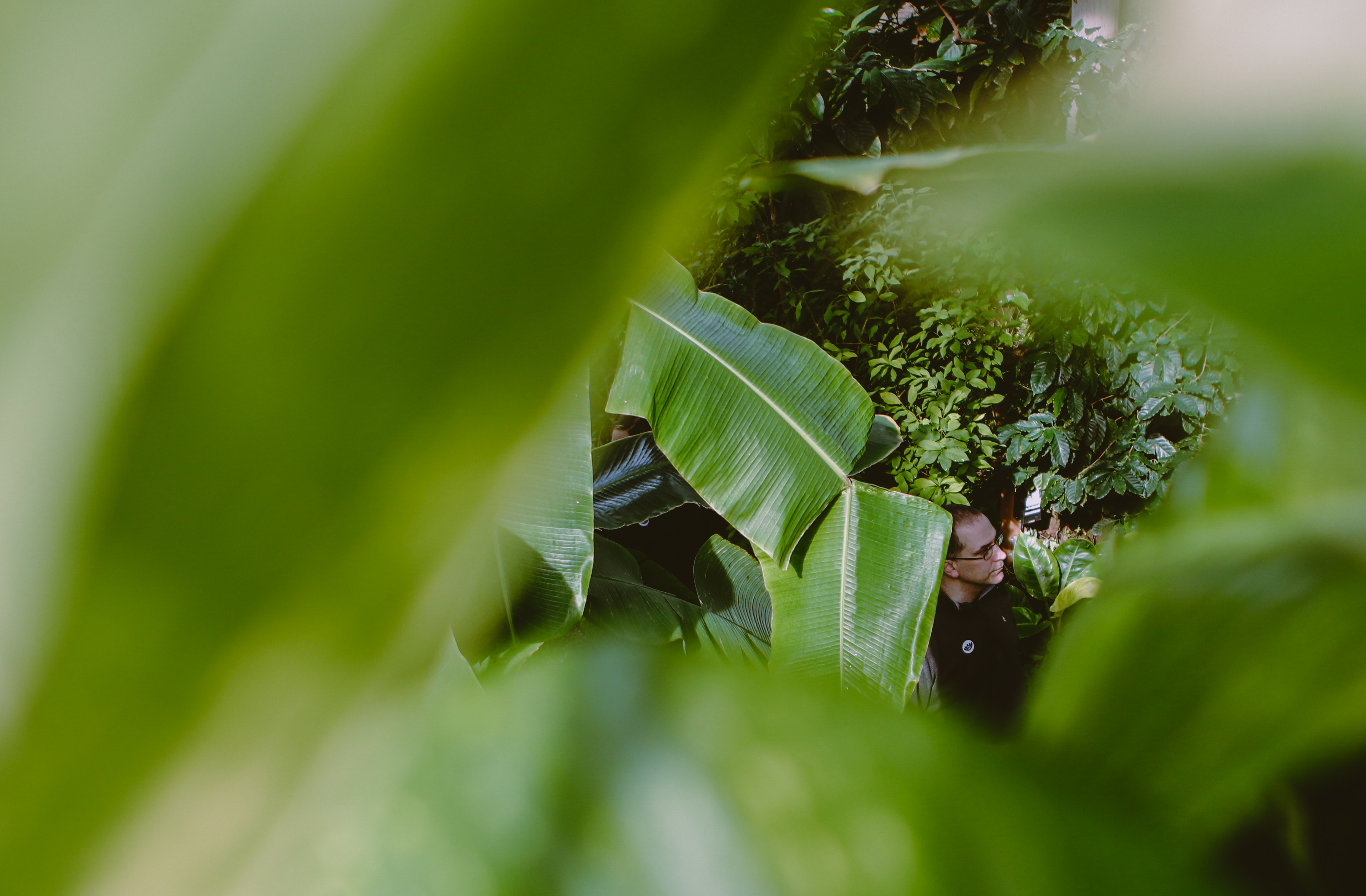 Visitors walk through the Greater Des Moines Botanical Garden in Des Moines, Iowa on March 18, 2019.