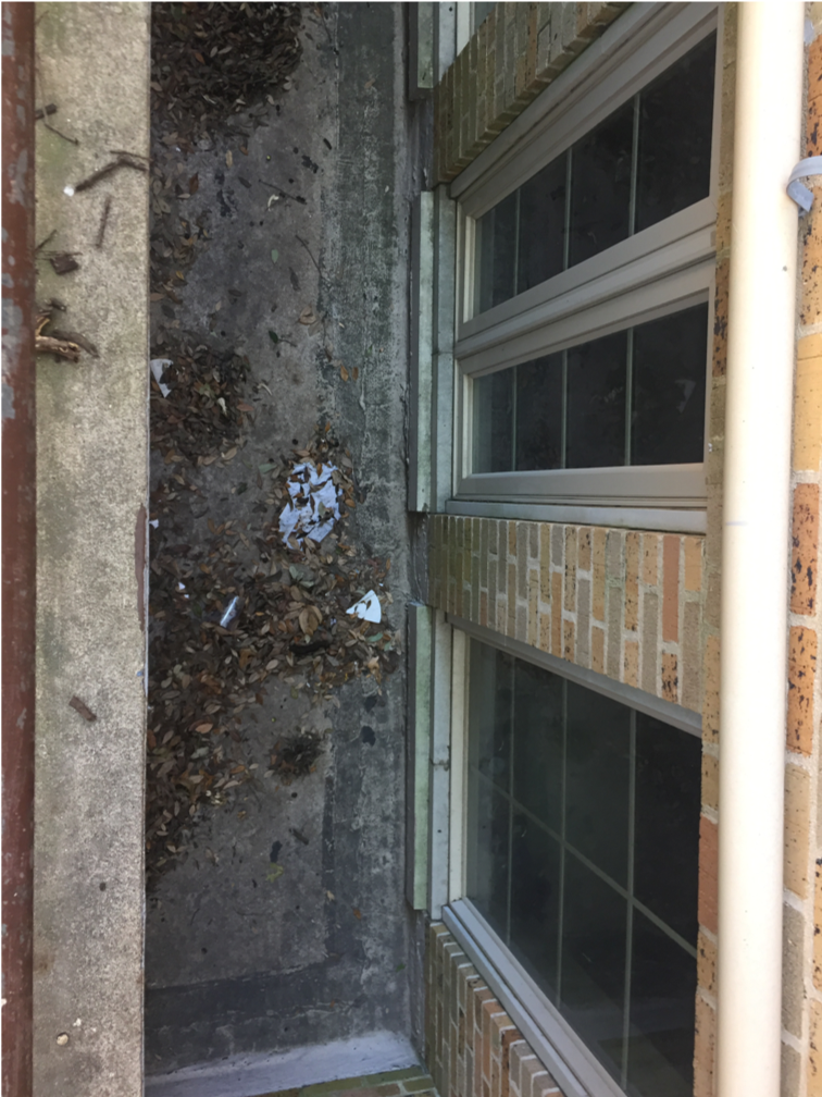 clogged drains in areaways