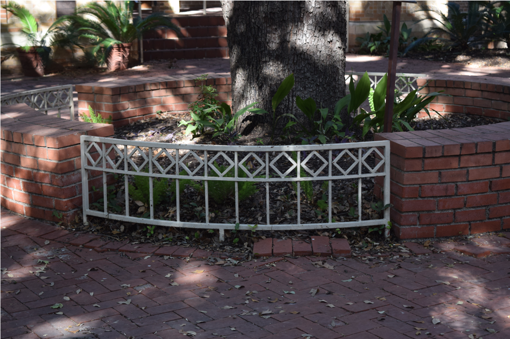 root growth dislodging pavers