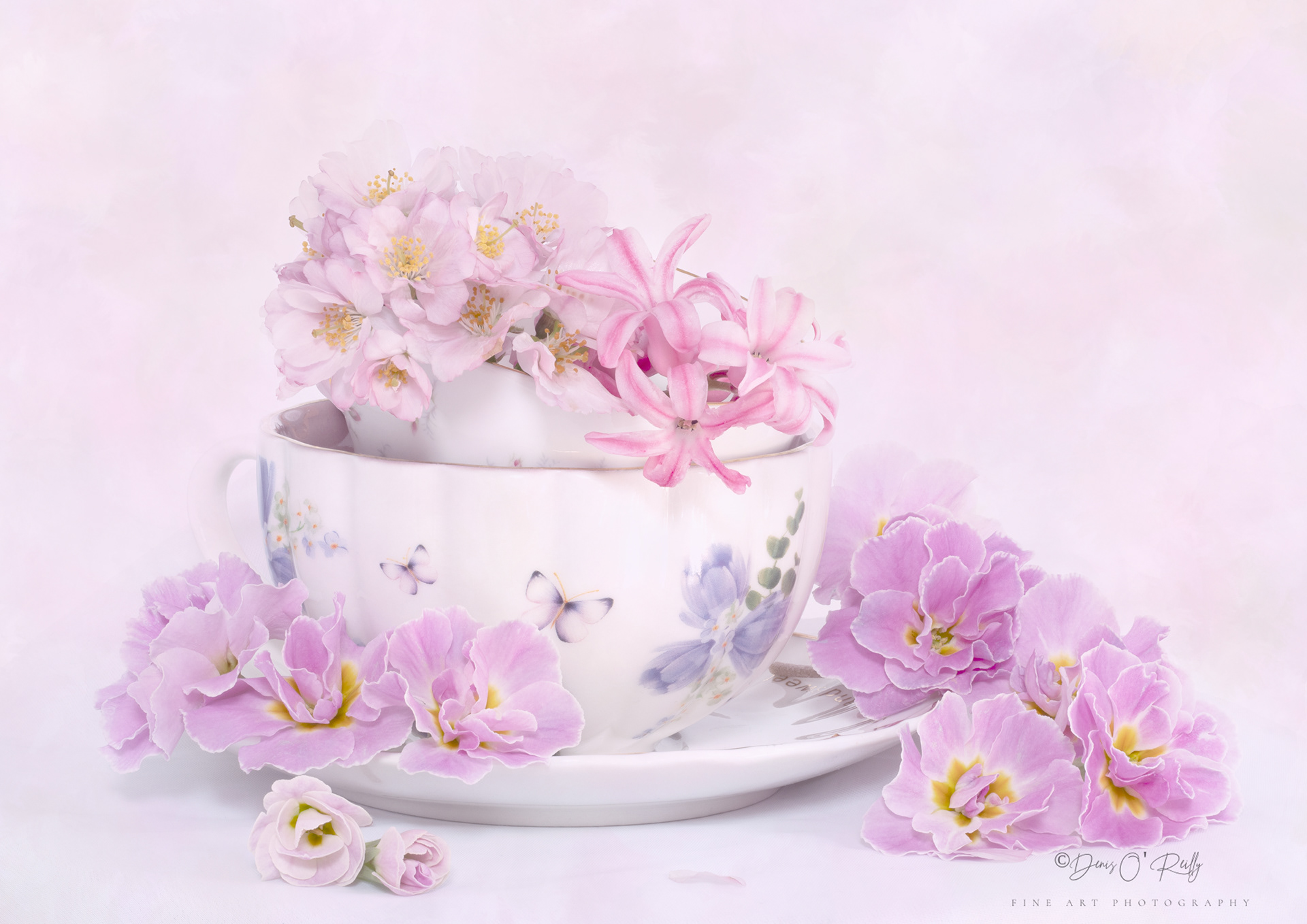 Soft Pinks and Purples