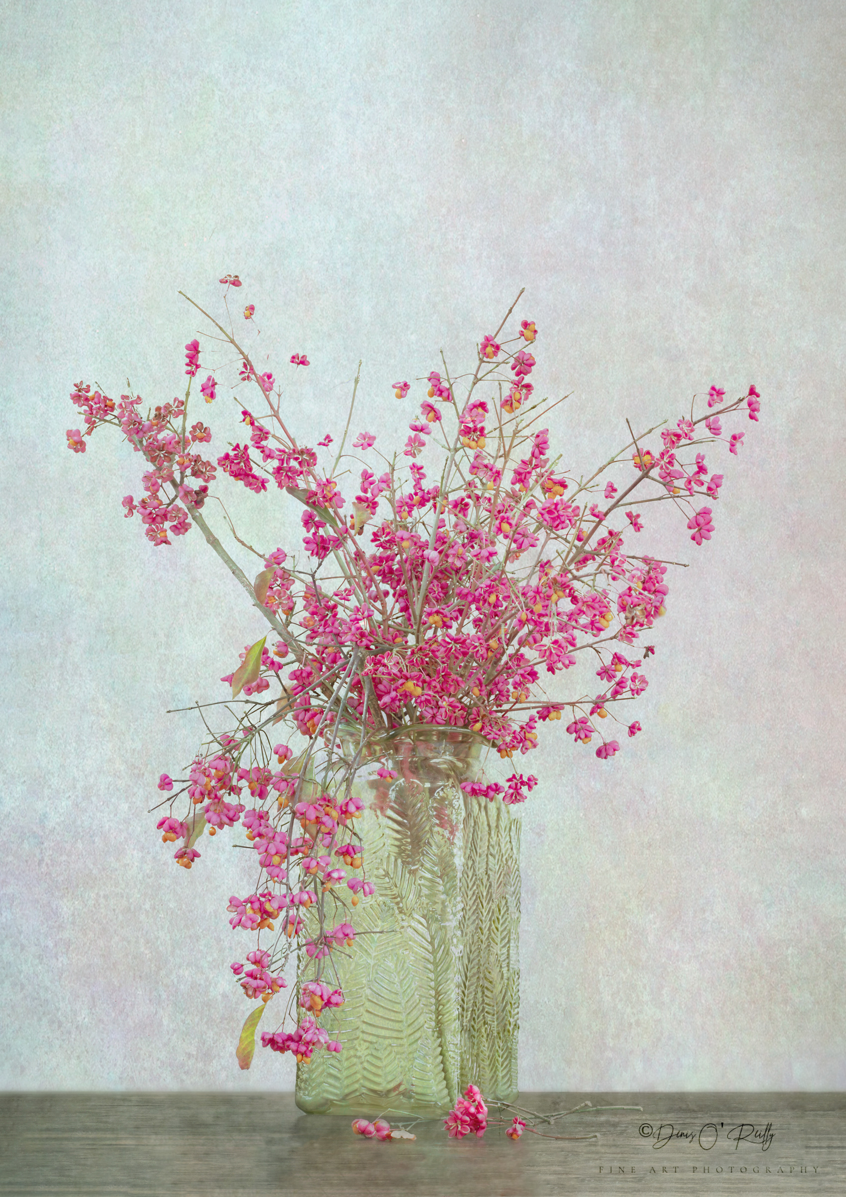 Spindle Tree Berries