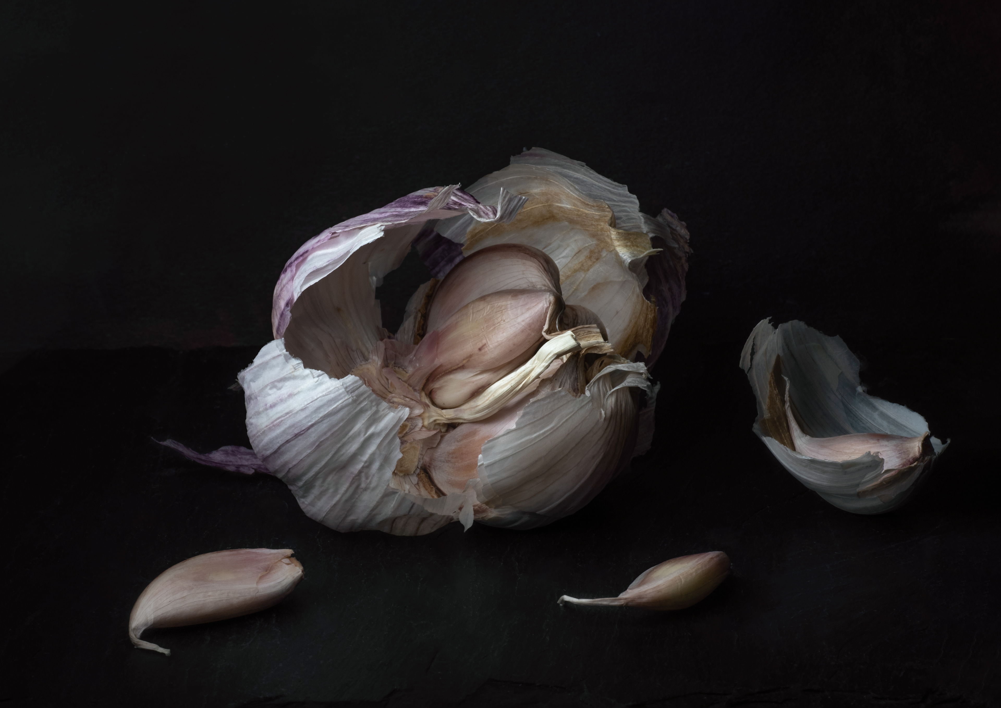 Garlic