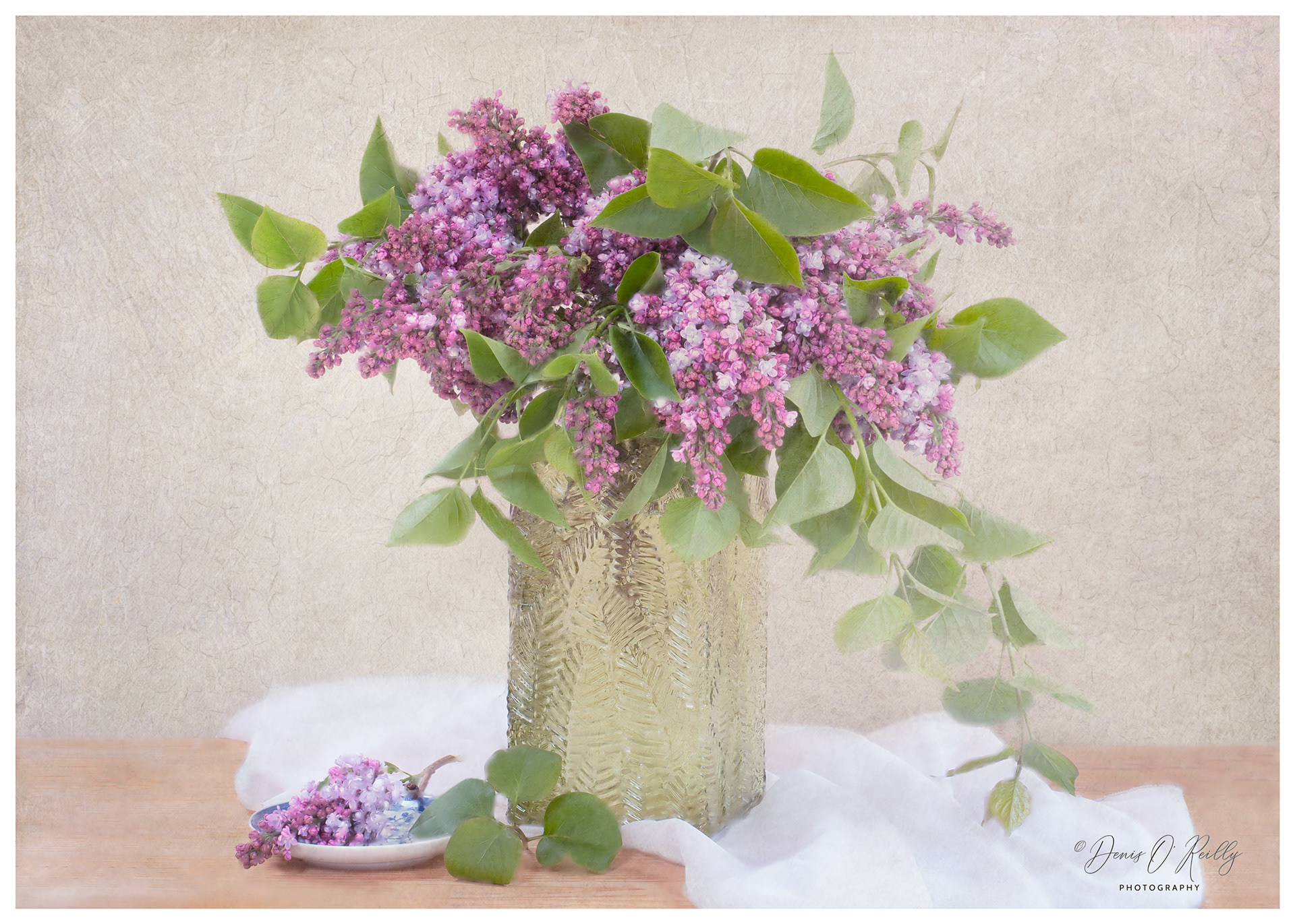 Fragrant Lilac