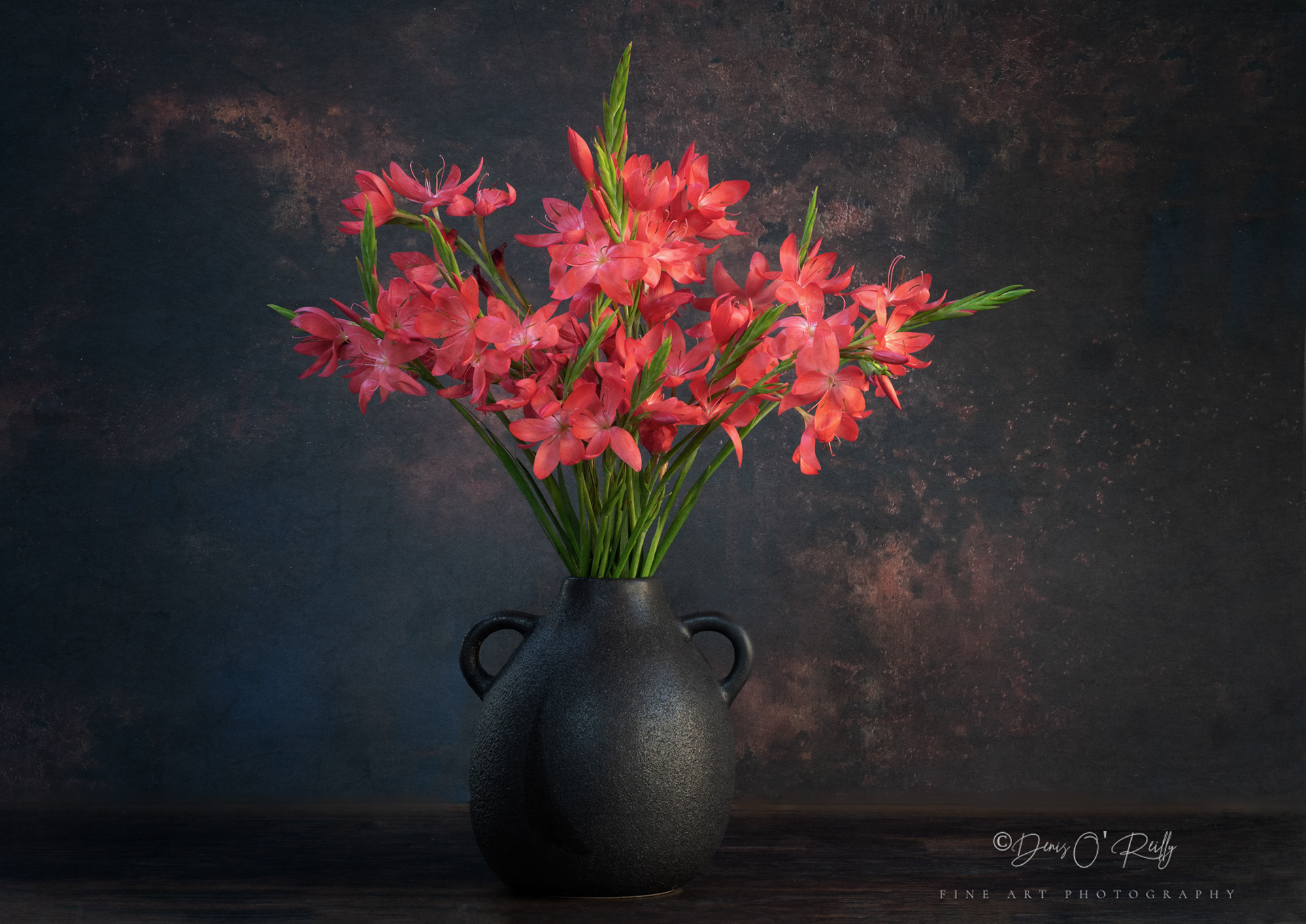 Kaffir Lilies in Black Vase