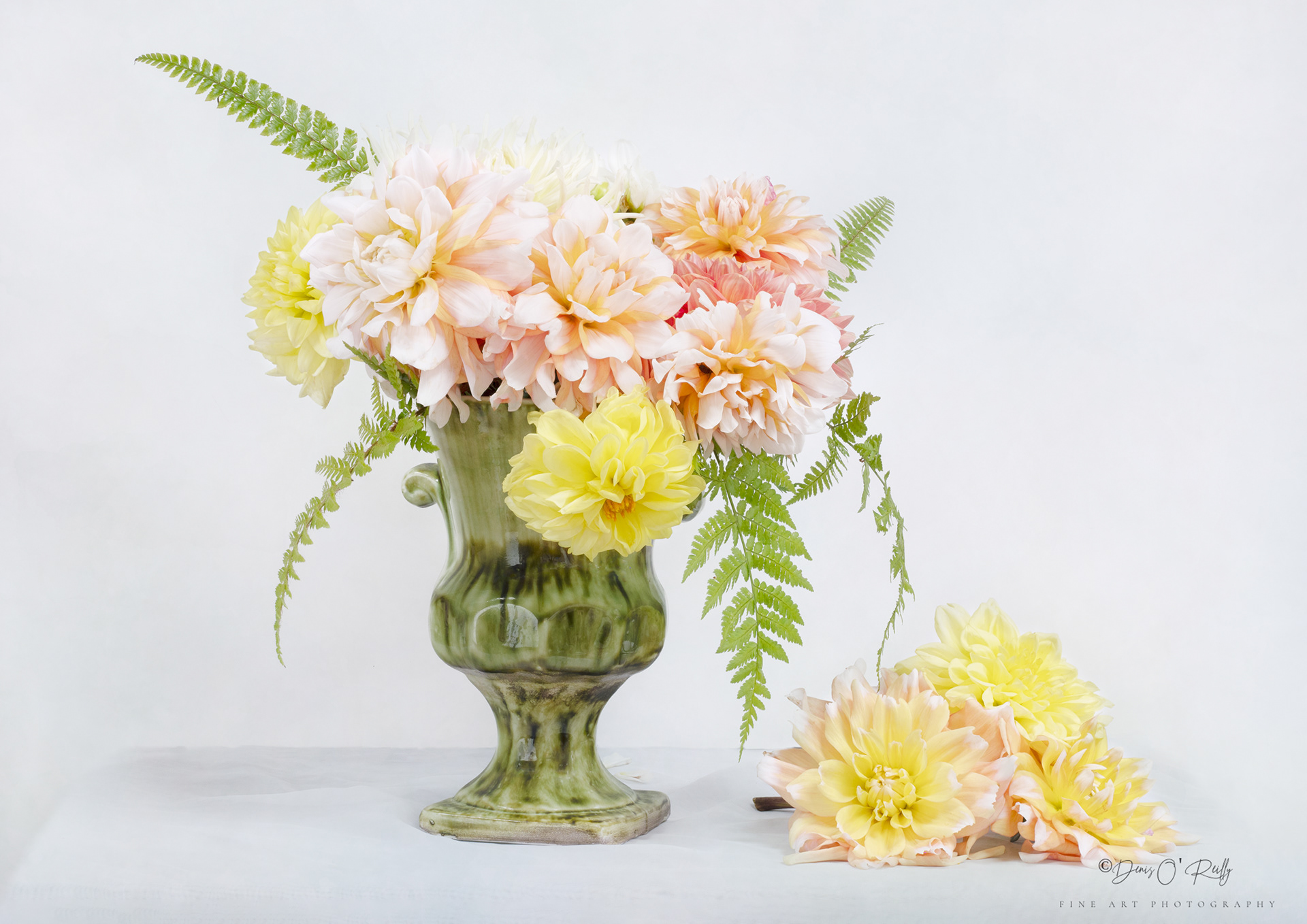 Orange and Yellow Dahlias