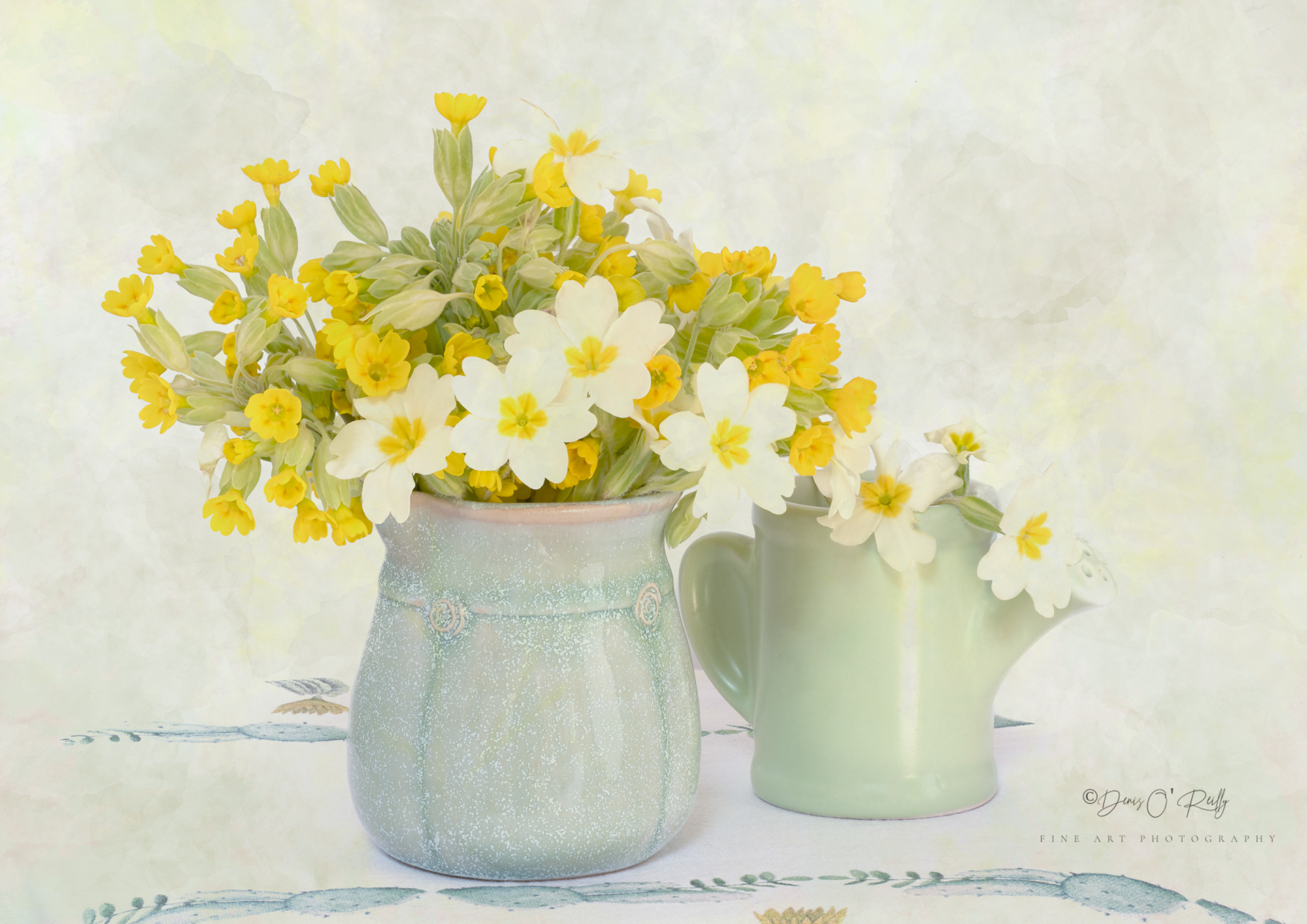 Cowslips and Primroses