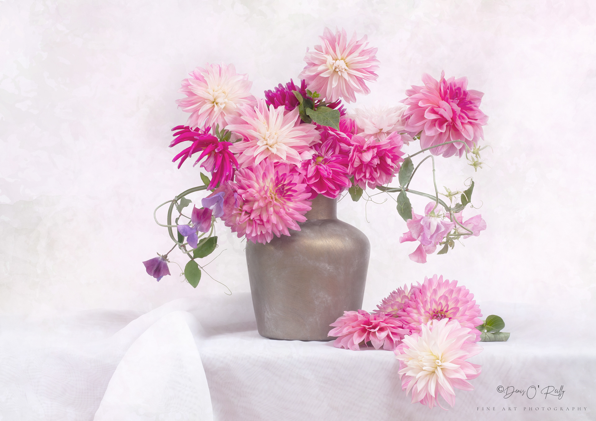Pink Dahlias