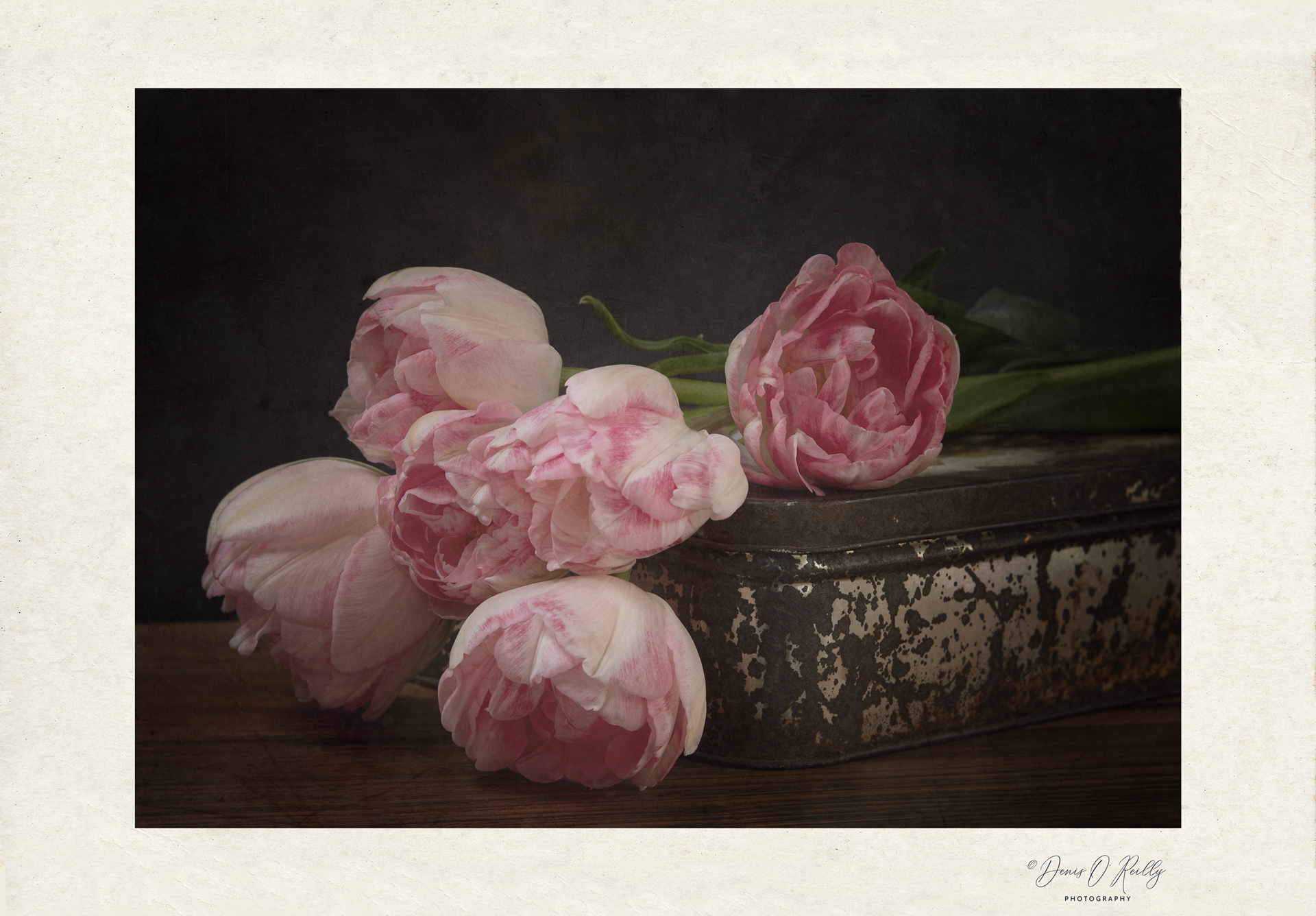 Vintage Tulips