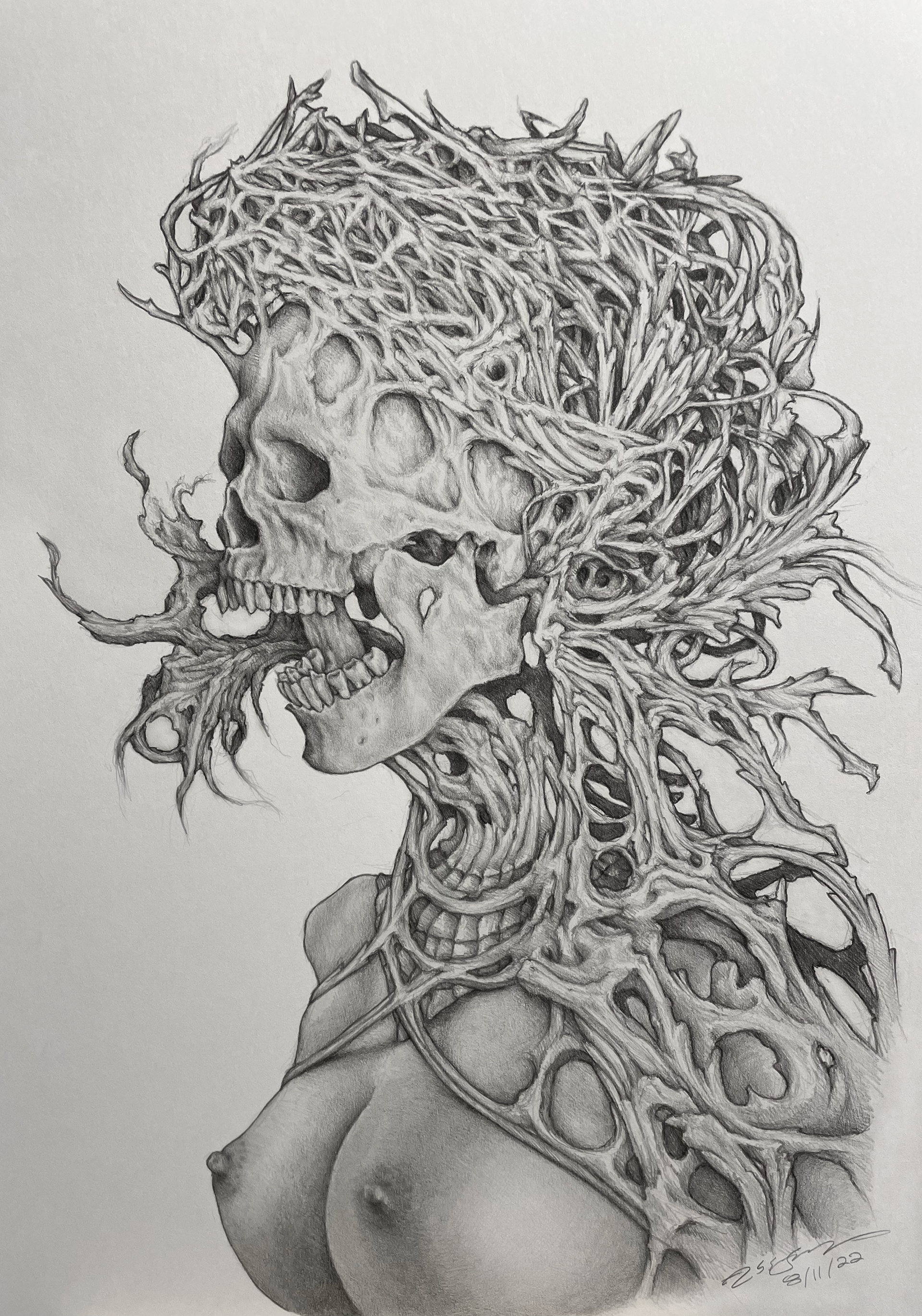 (Age 25) Damage Done