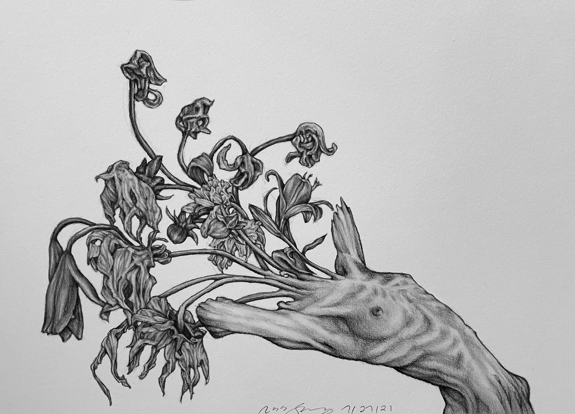 (Age 24) Withering