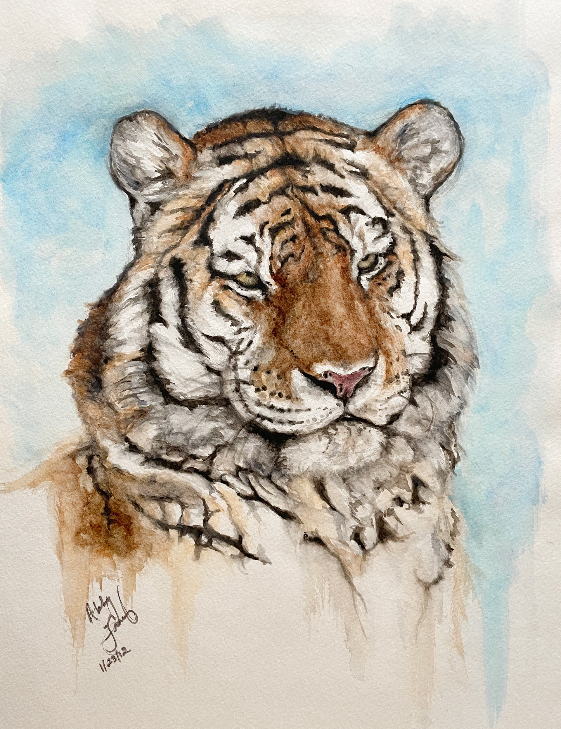 (Age 14) Tiger