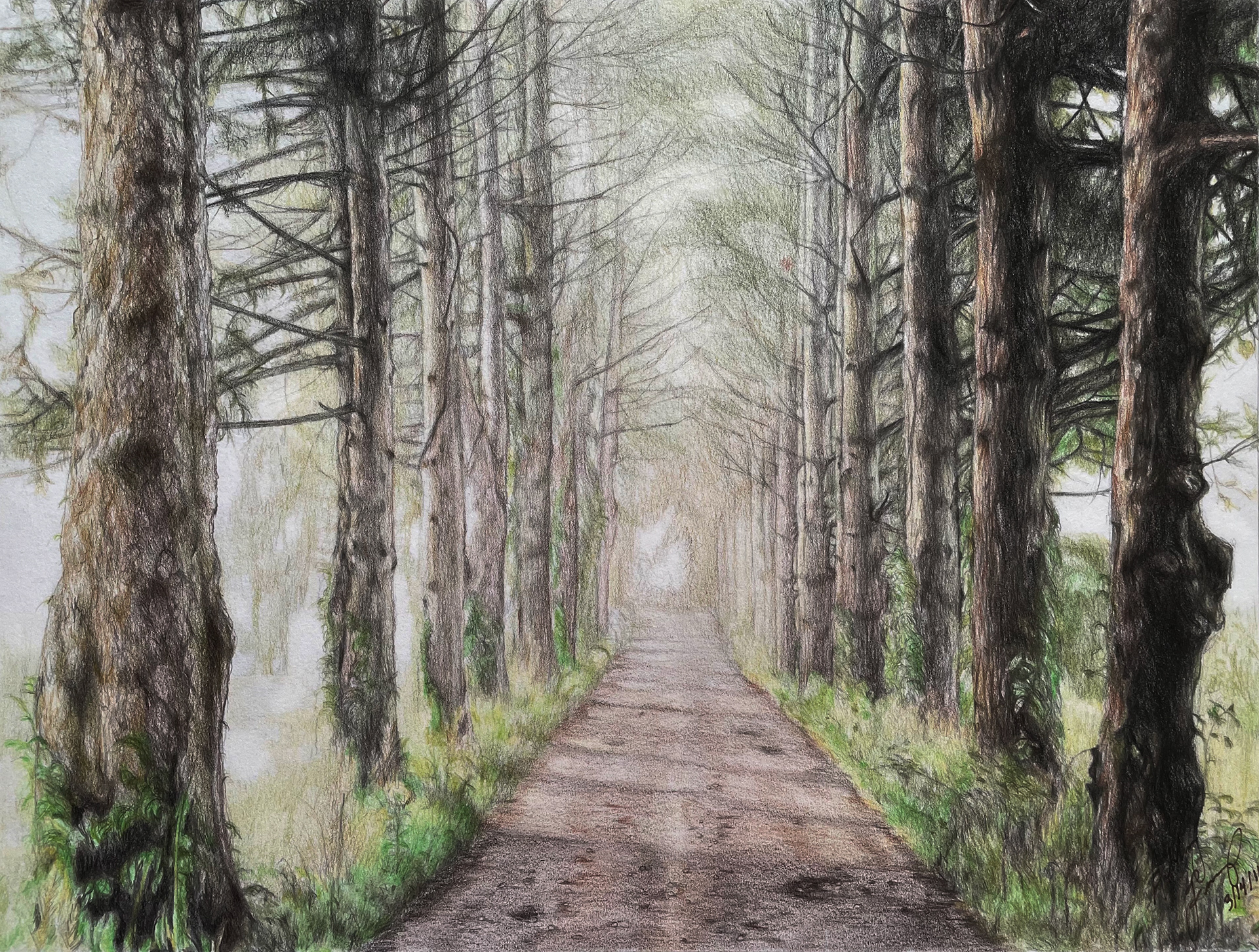 (Age 13) The Depths of Travel