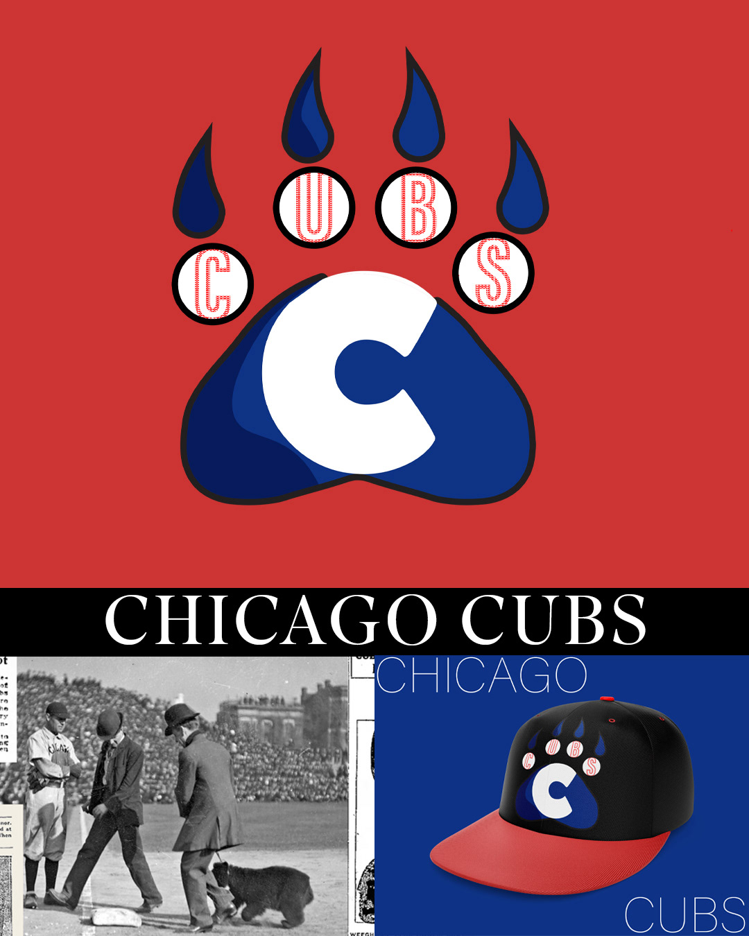 Chicago Cubs