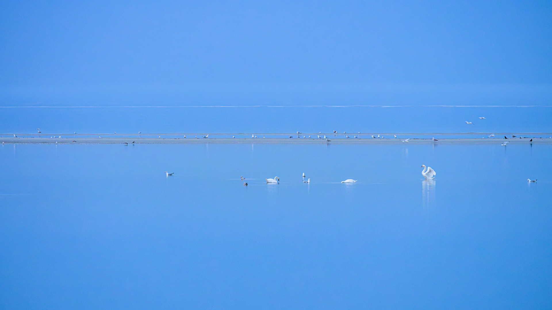 Stille - Fast nichts geschieht. Und gerade darin liegt der Moment.©Mirko Fleitmann