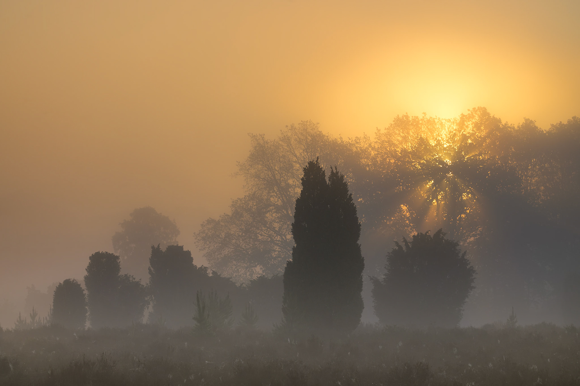 Morgenlicht - Das Licht kommt langsam. Alles andere bleibt noch ungewiss.©Mirko Fleitmann