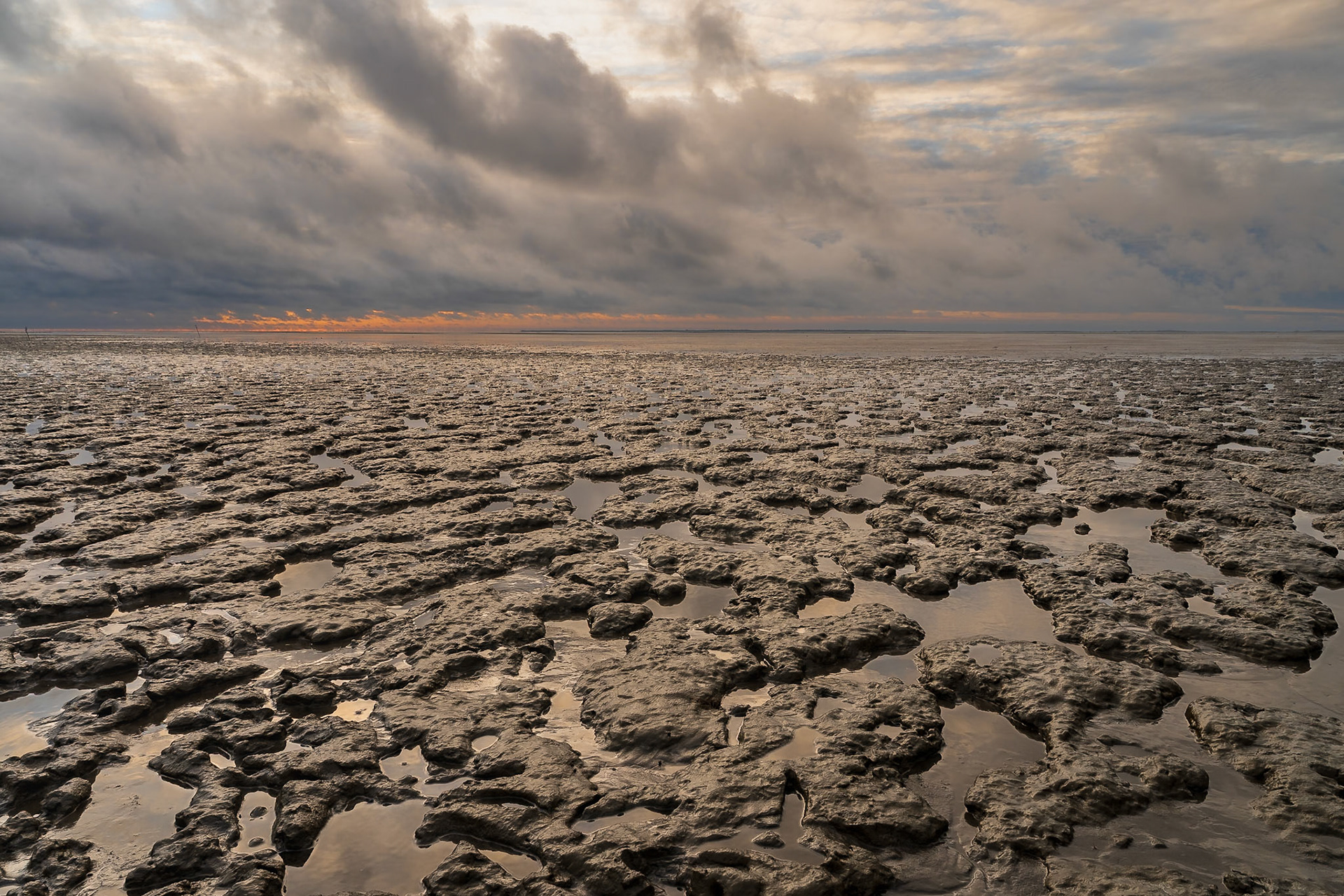Watt - Wenn das Meer geht, kommt eine neue Landschaft zum Vorschein.©Mirko Fleitmann