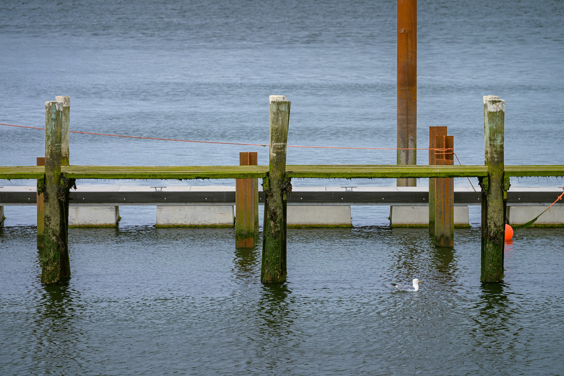Am Steg - Spuren eigener Ordnung, langsam Teil der See geworden.©Mirko Fleitmann