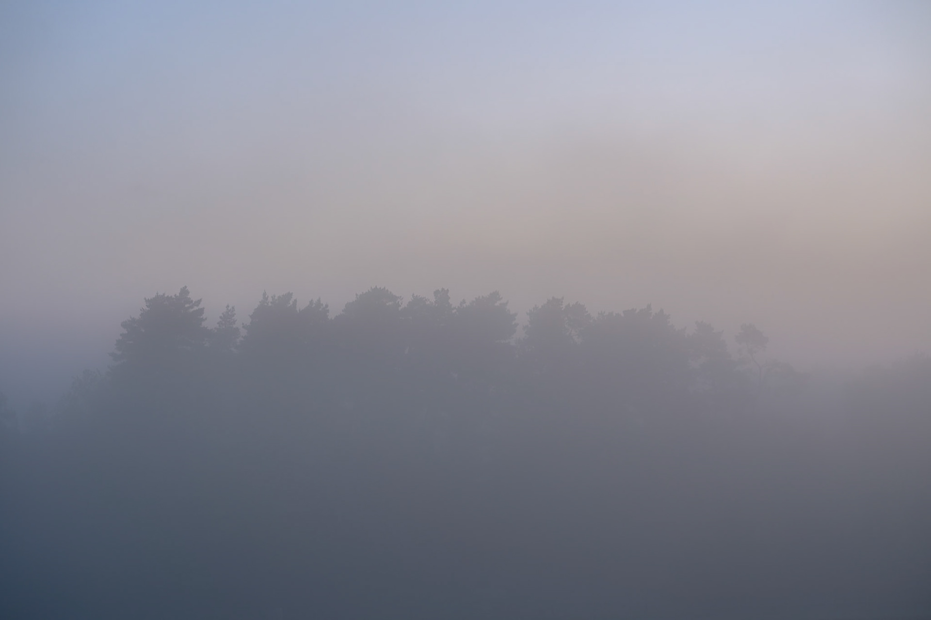 Im Nebel - Mit der Entfernung verschwindet die Gewissheit.©Mirko Fleitmann