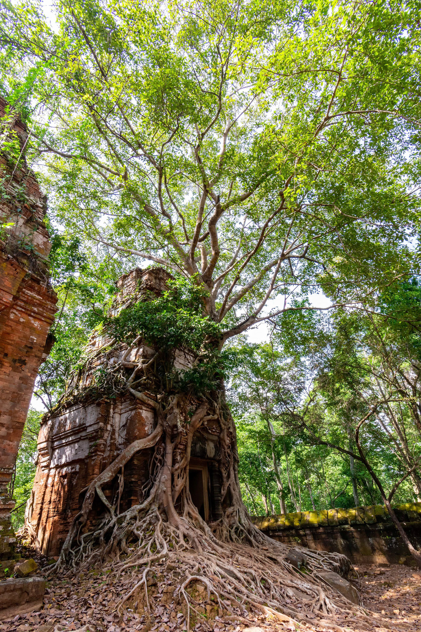 Pram Temple - ប្រាសាទ ប្រាំ