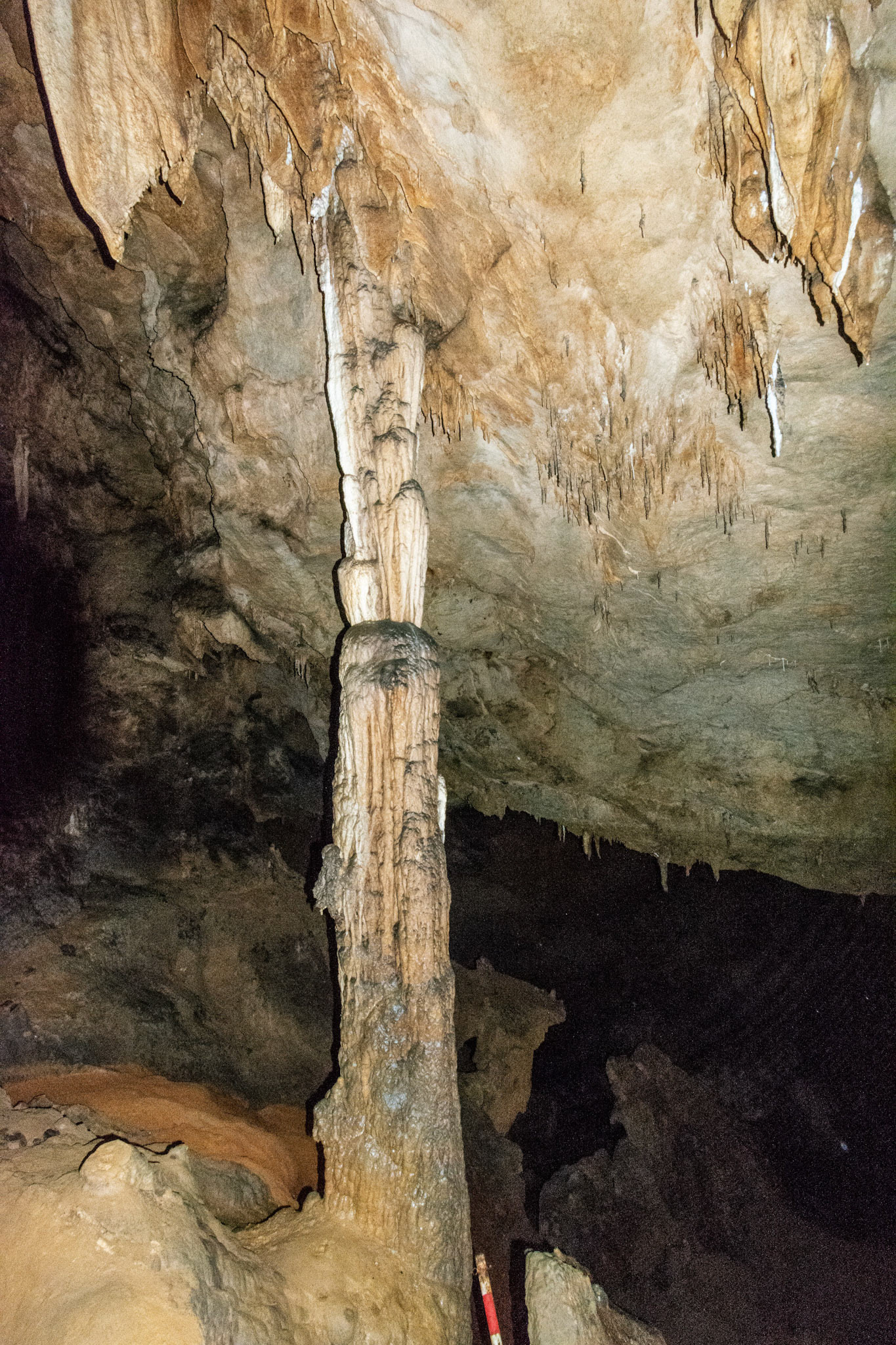 Động Ngườm Ngao (Nguom Ngao Cave)