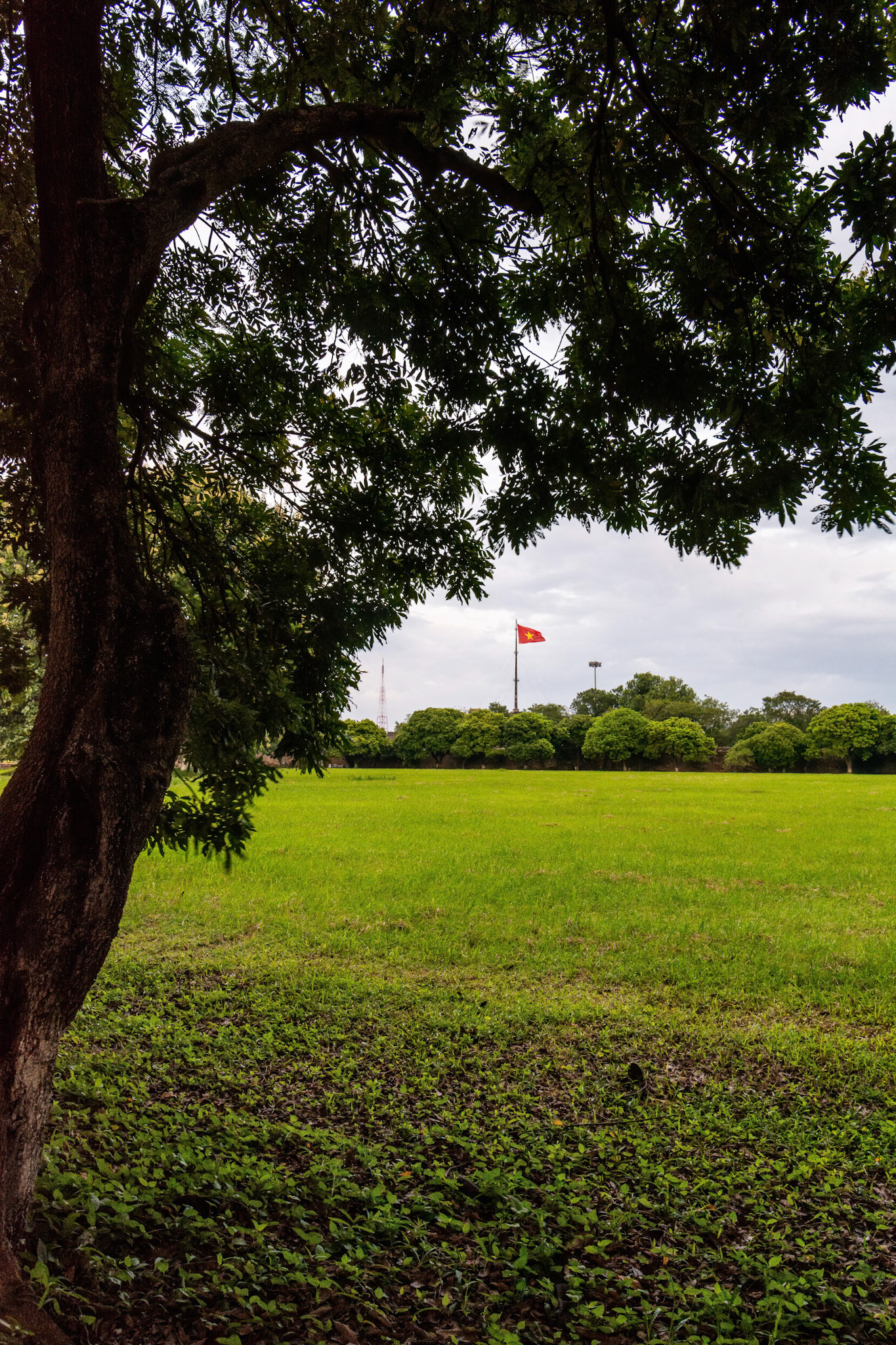 Thọ Chỉ Môn