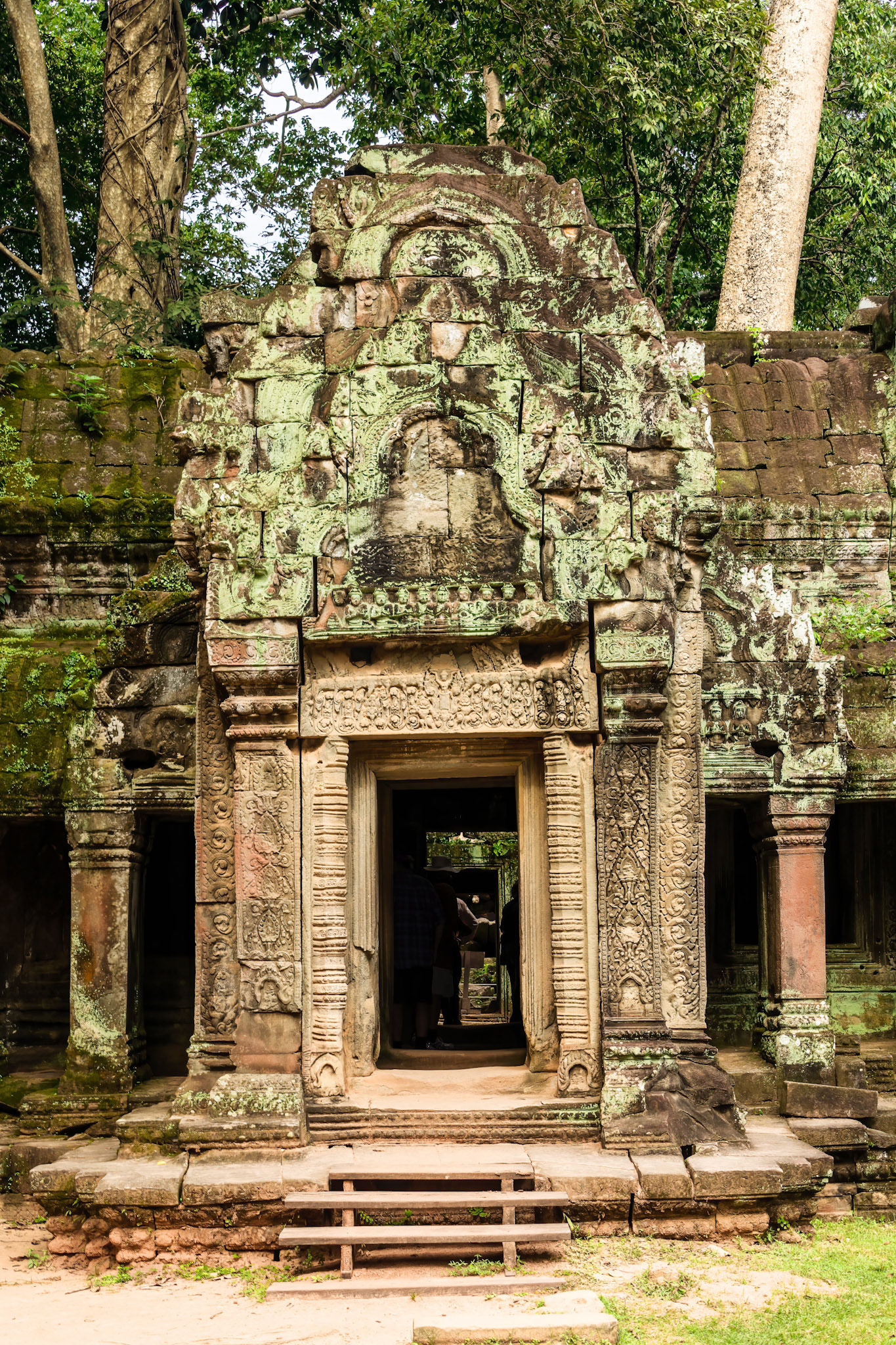 Ta Prohm Temple - ប្រាសាទ តាព្រហ្ម