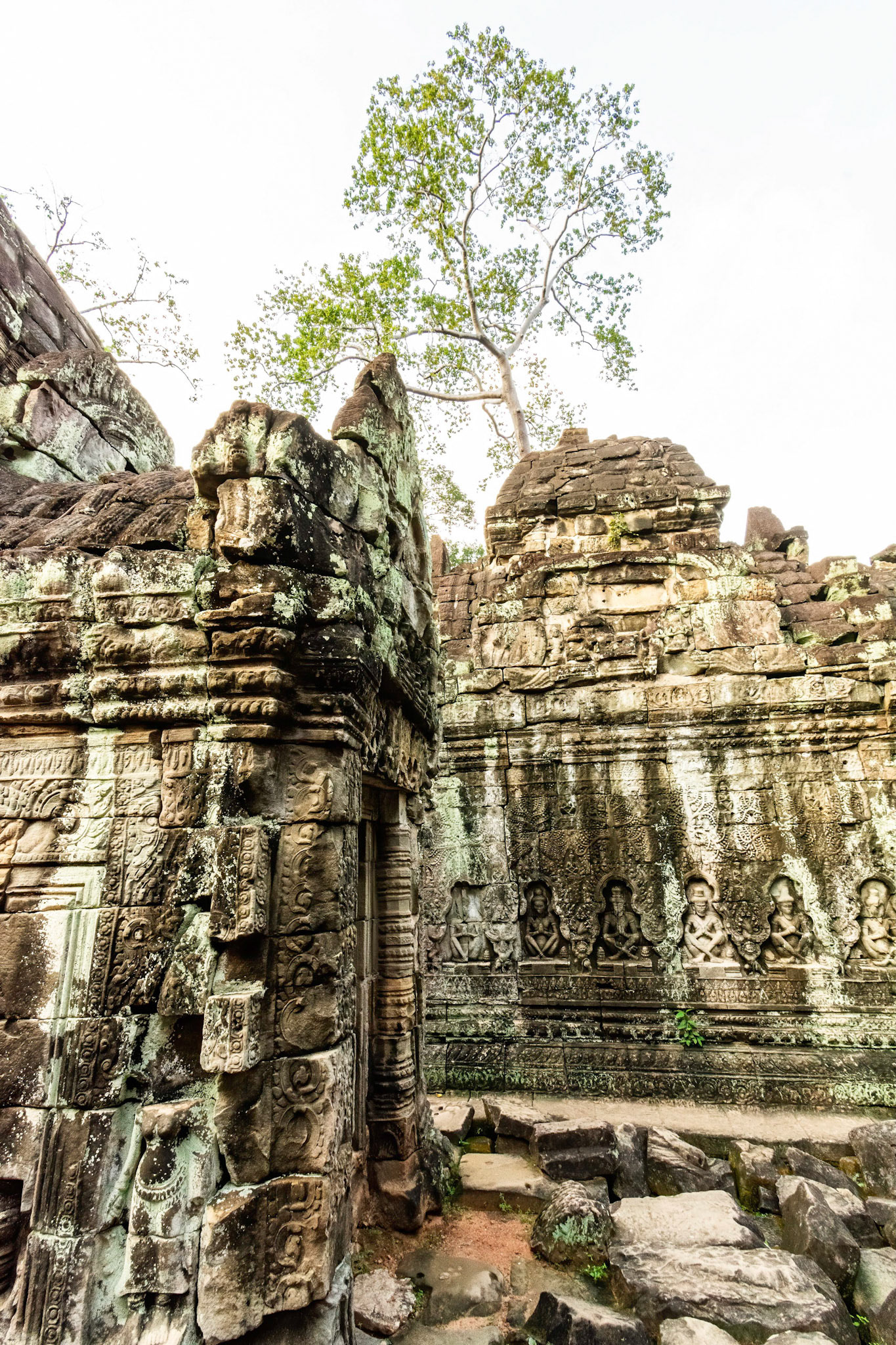 Preah Khan Temple - ប្រាសាទព្រះខ័ន