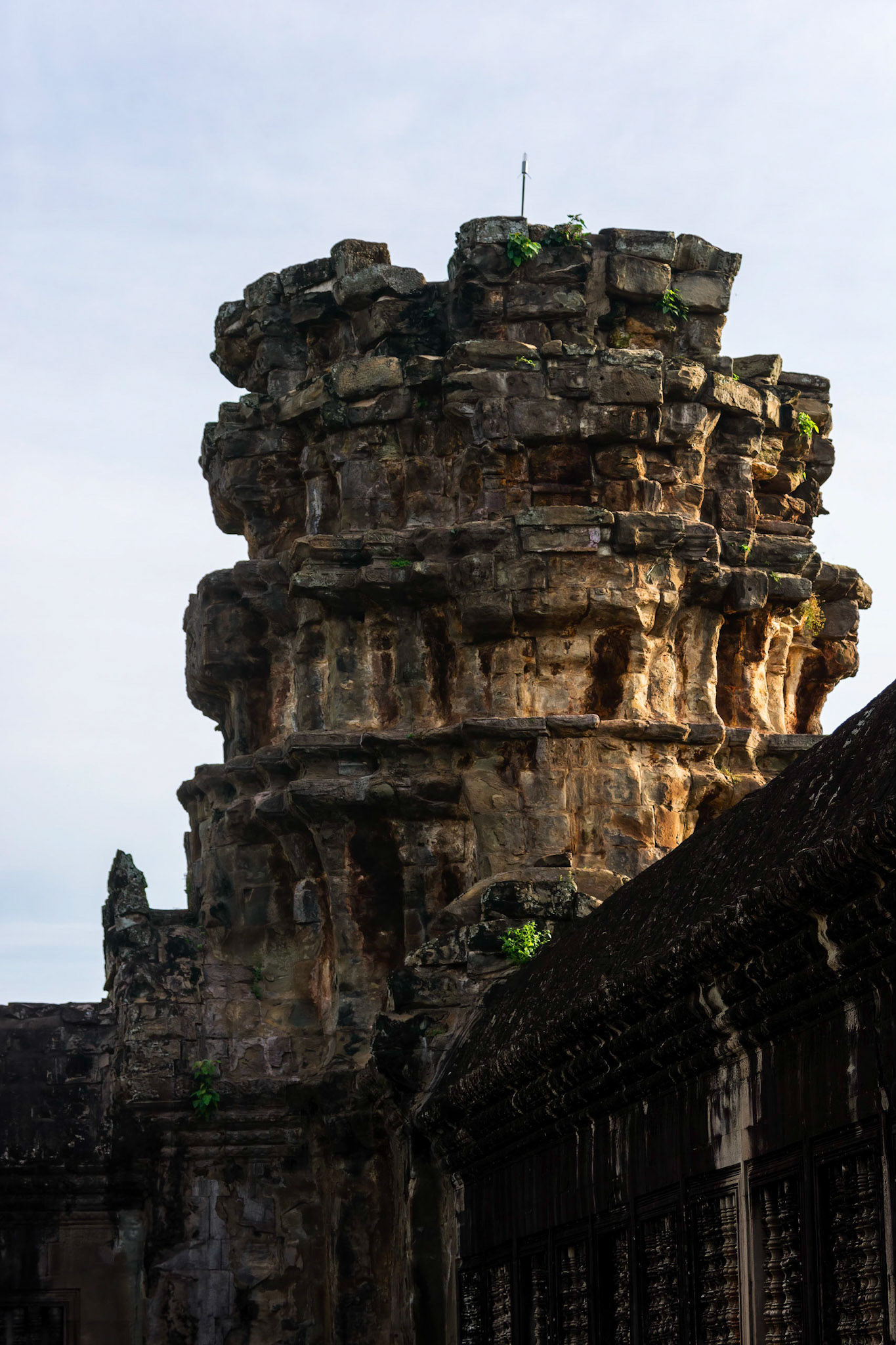 Angkor Wat
