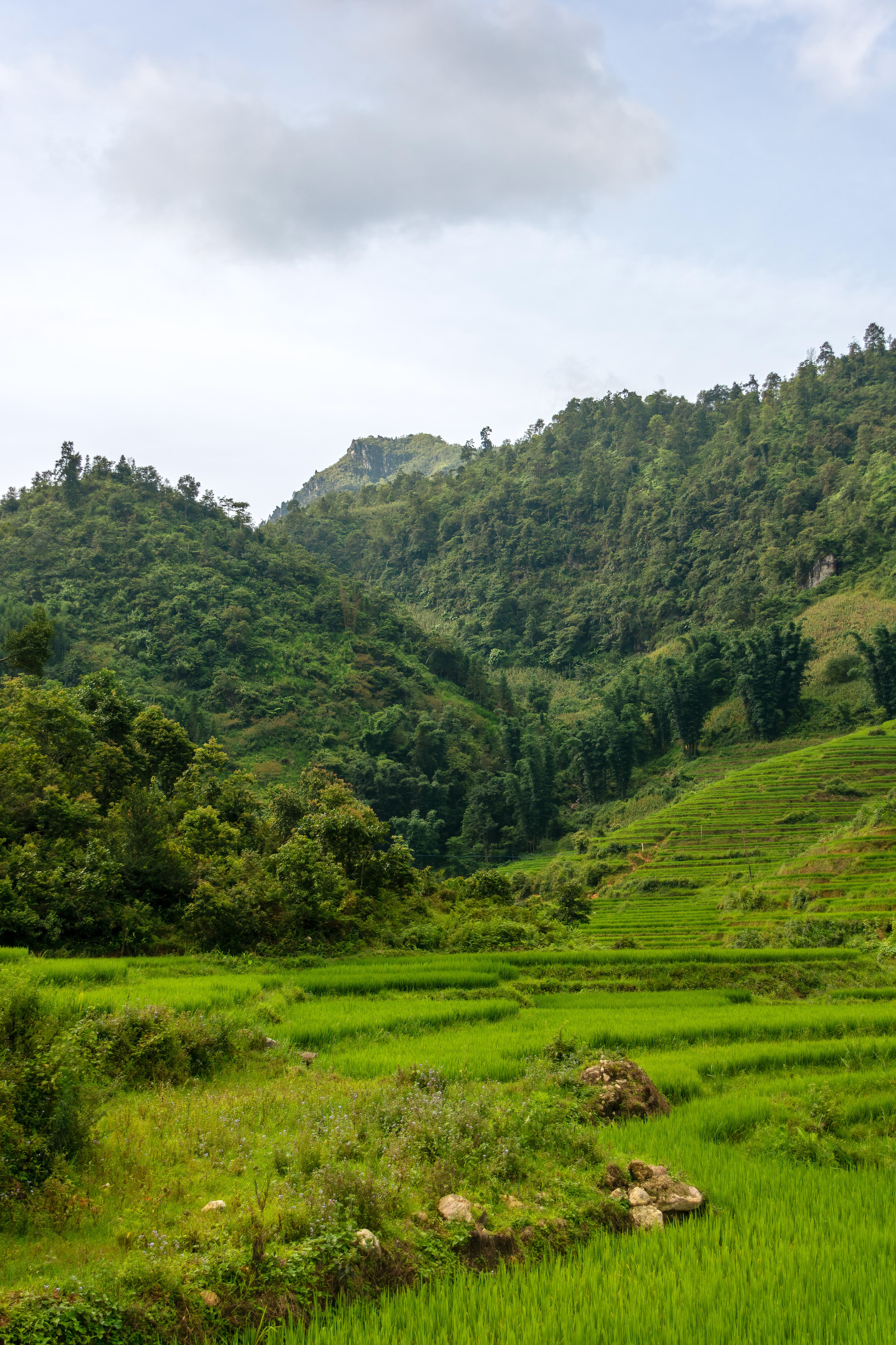 Ta Phin Village, Sa Pa